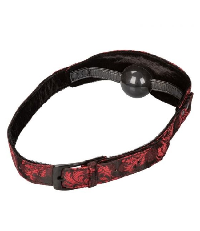 CalExotics Scandal Hidden Pleasure Ball Gag