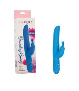 CalExotics Bounding Bunny
