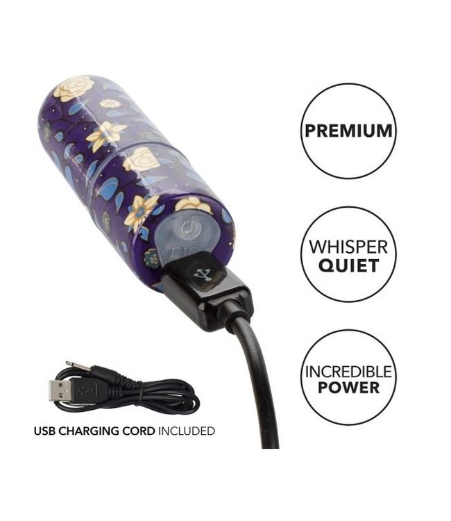 CalExotics Naughty Bits Just The Tip Bullet Vibrator