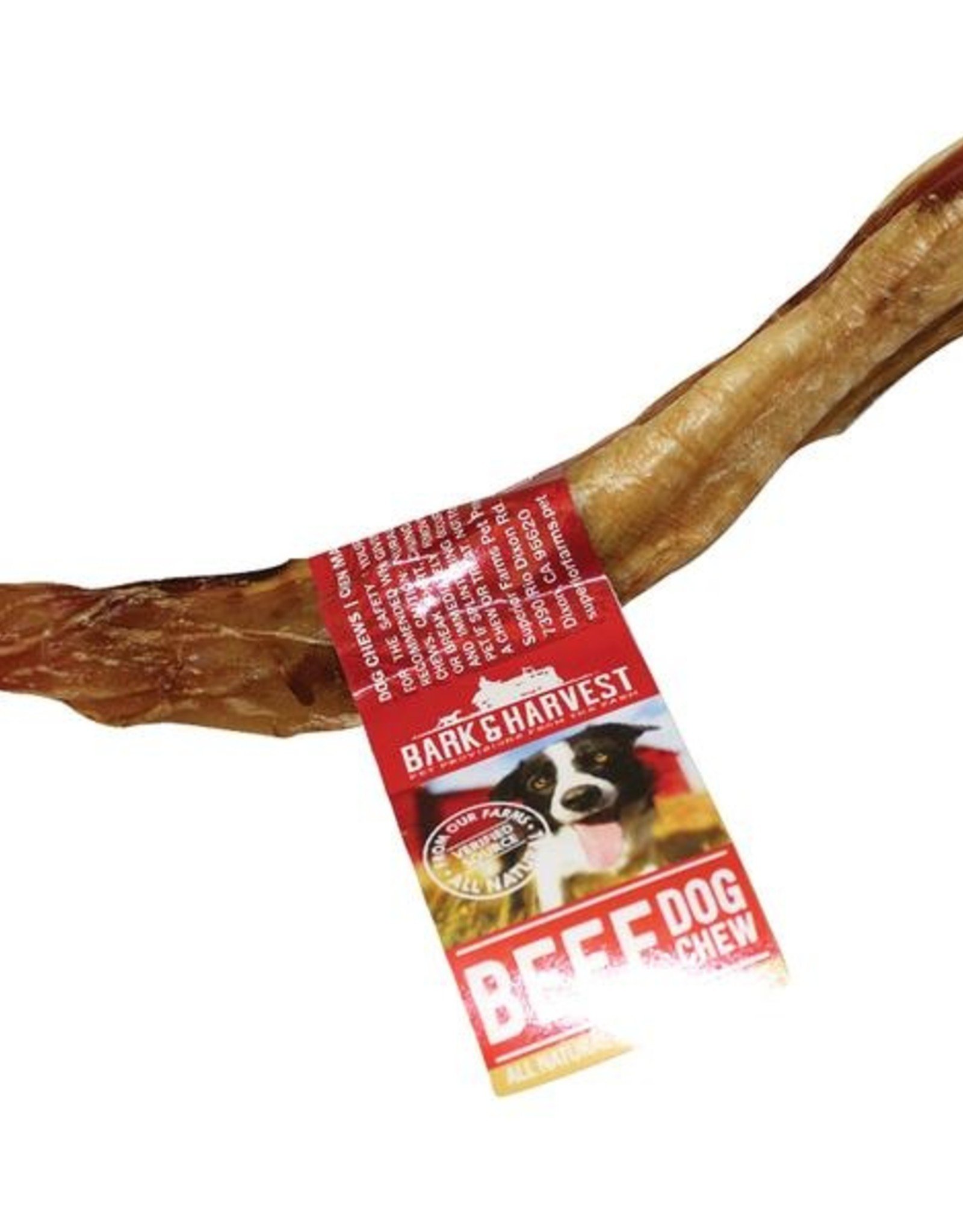 Bark & Harvest USA Beef Pizzle 6” Pawtopia Your Pet's Nutritionist