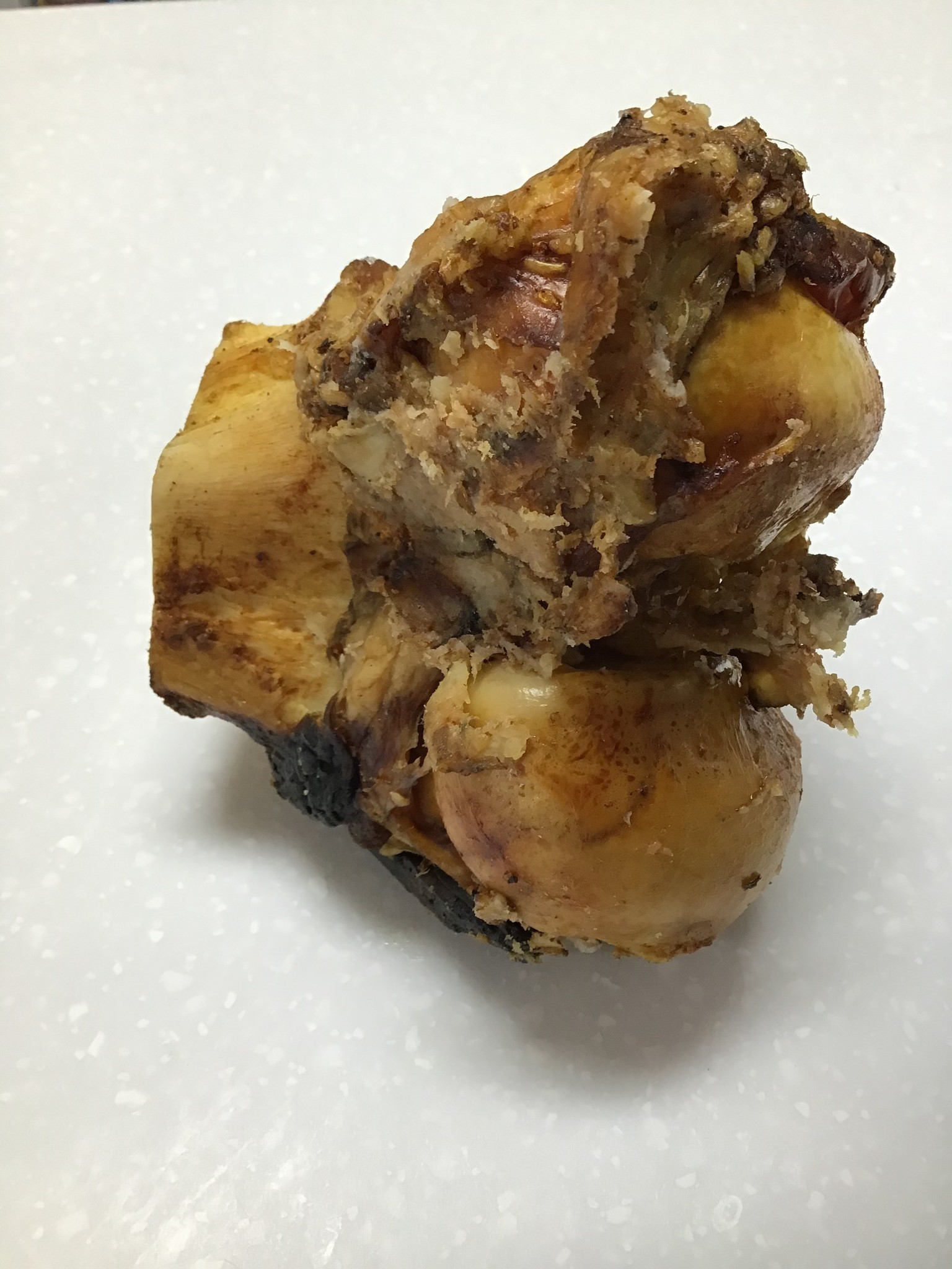 Large Knuckle Pawtopia Your Pet's Nutritionist