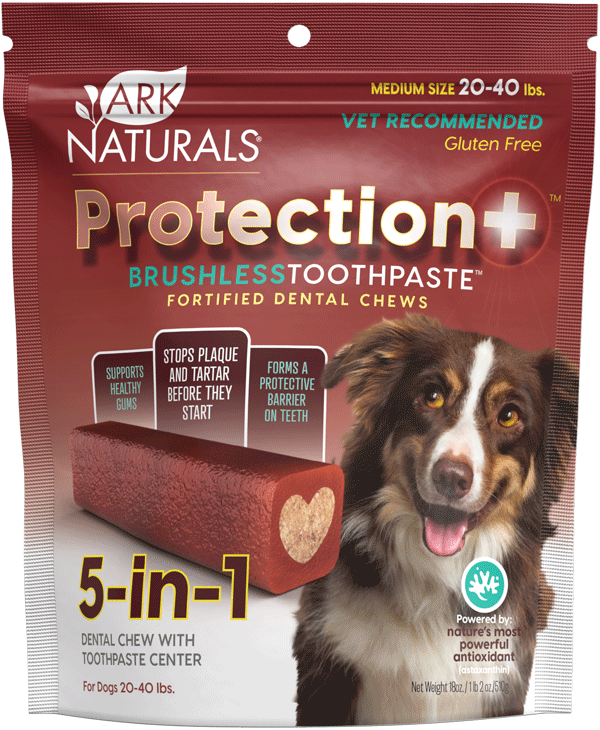 Dog Power Paste - For Teeth & Irritation