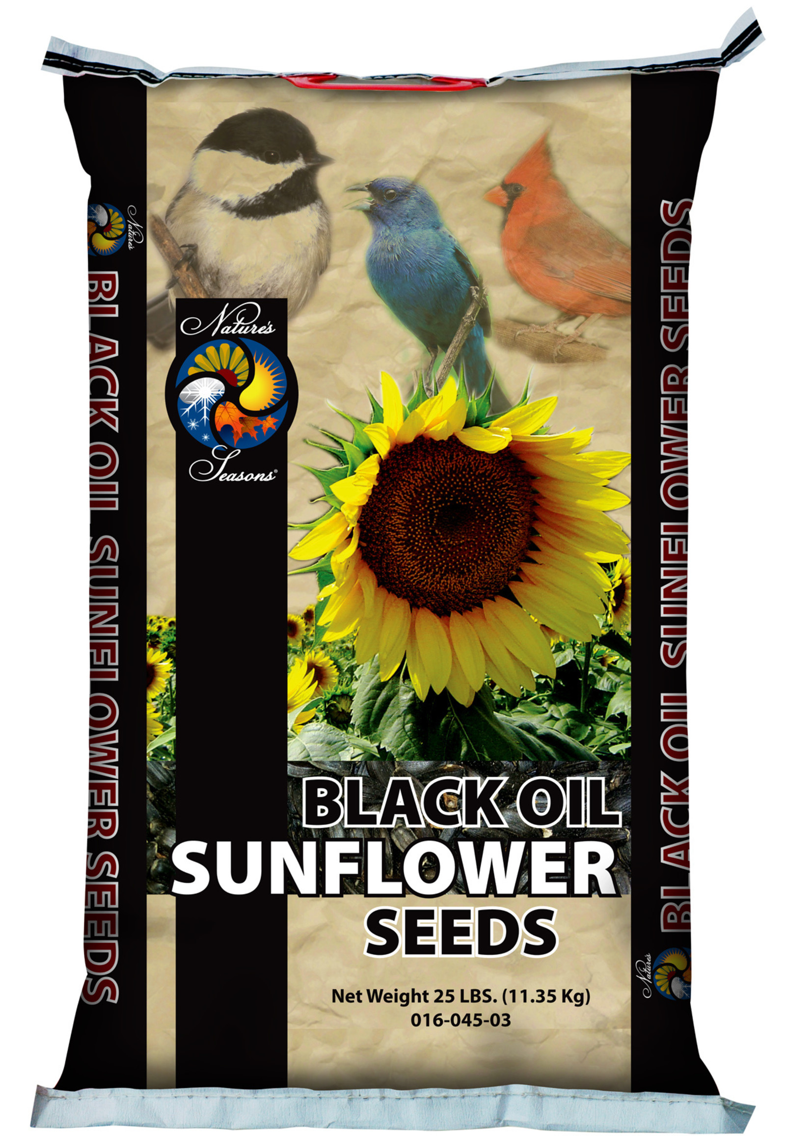 Sunflower 25 lb  Black