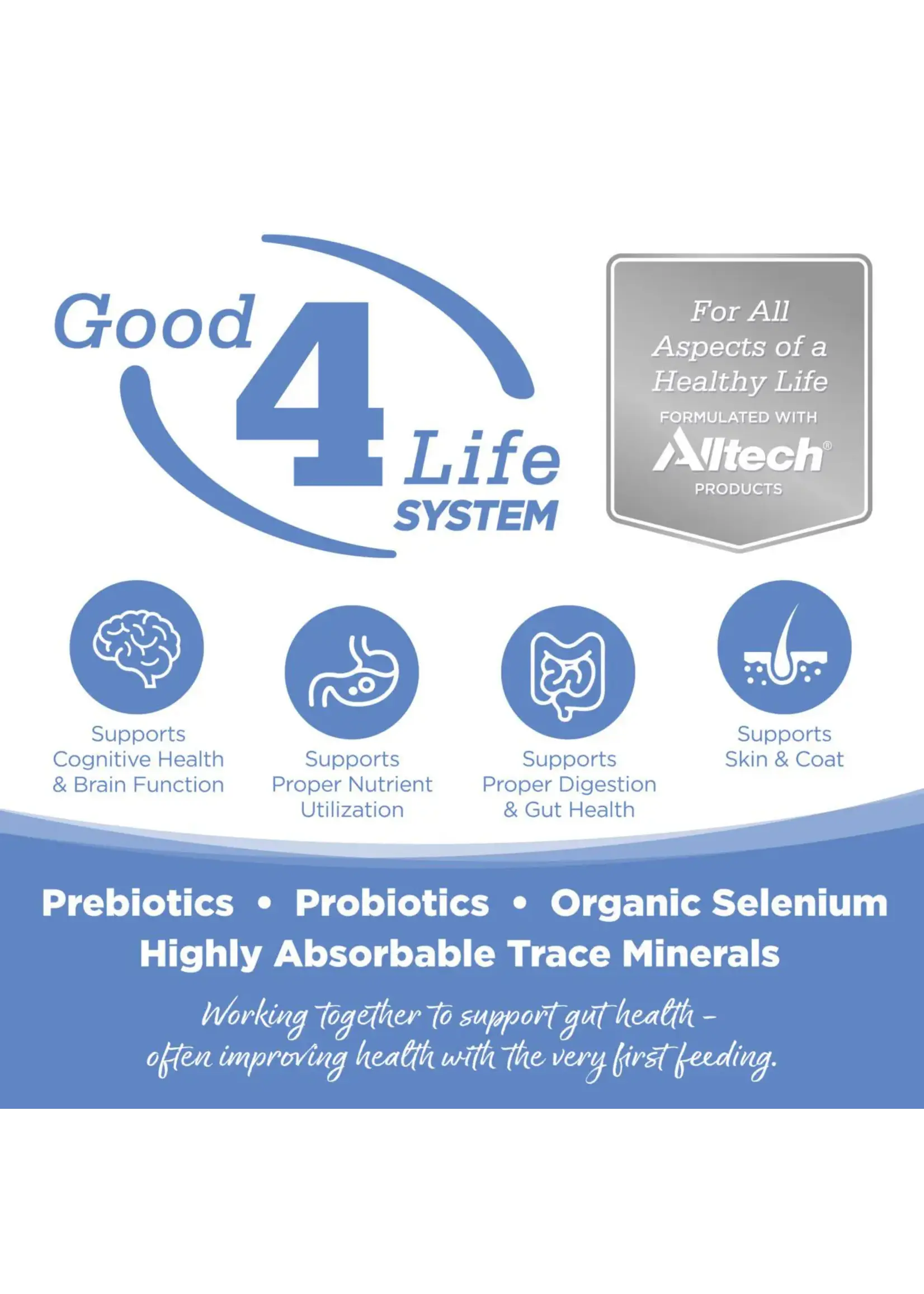 Pure Vita Small Bites Turkey, sweet potato 15lb