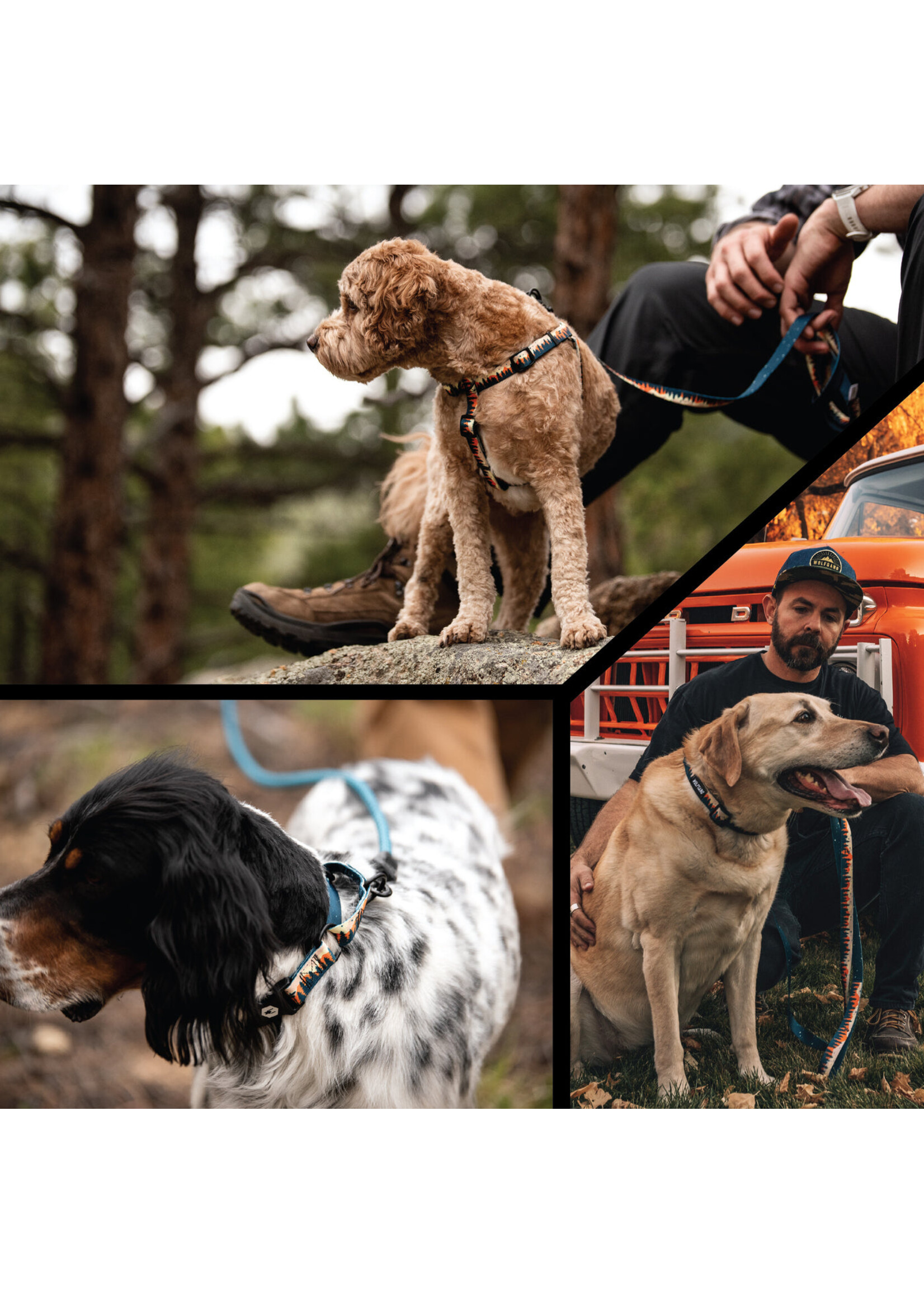Wolfgang Overland Harness Xl
