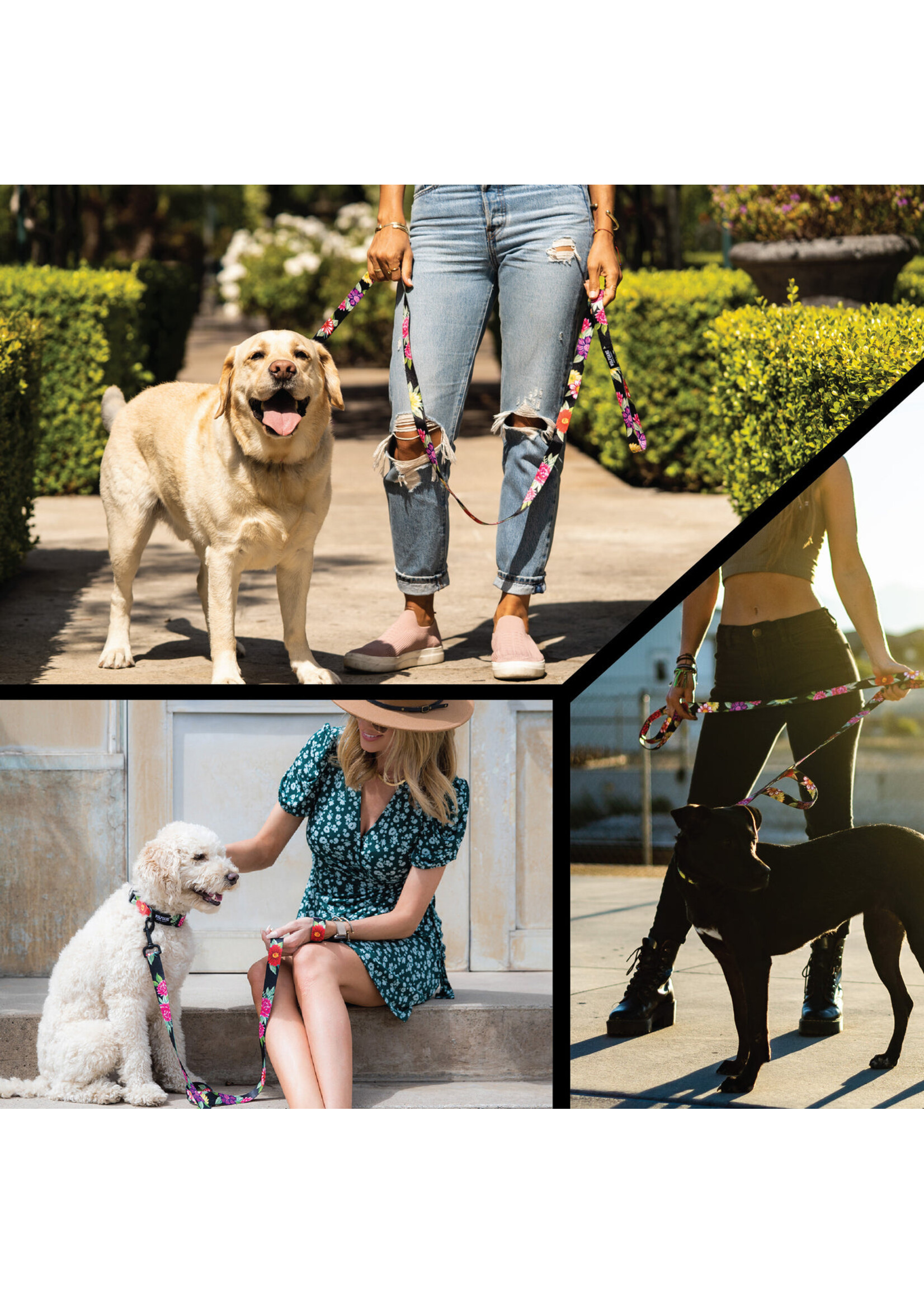 Wolfgang Dark Floral Leash 6 ft