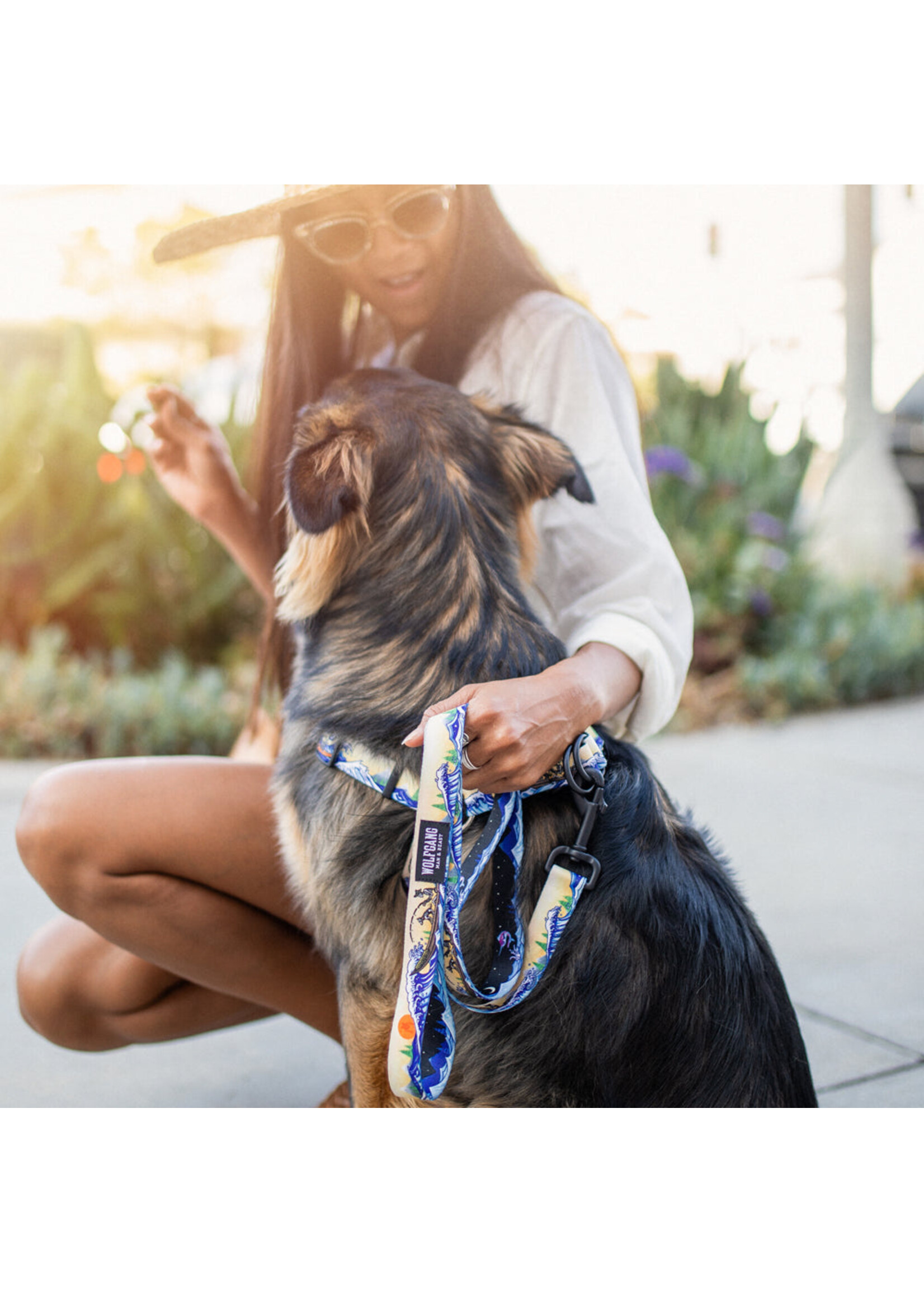 Wolfgang Mountain Wave Leash 6 ft