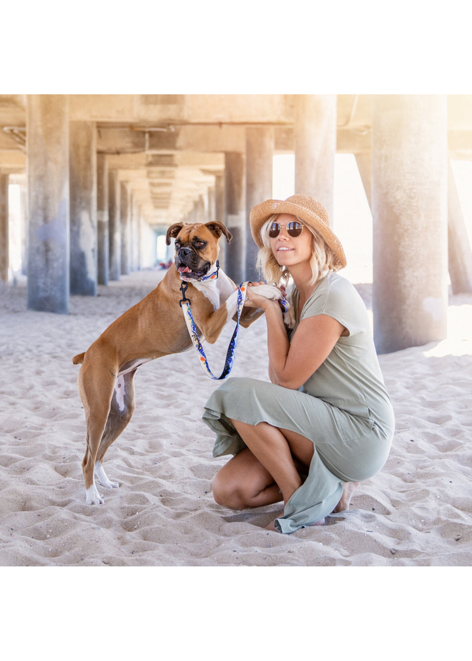 Wolfgang Mountain Wave Leash 6 ft