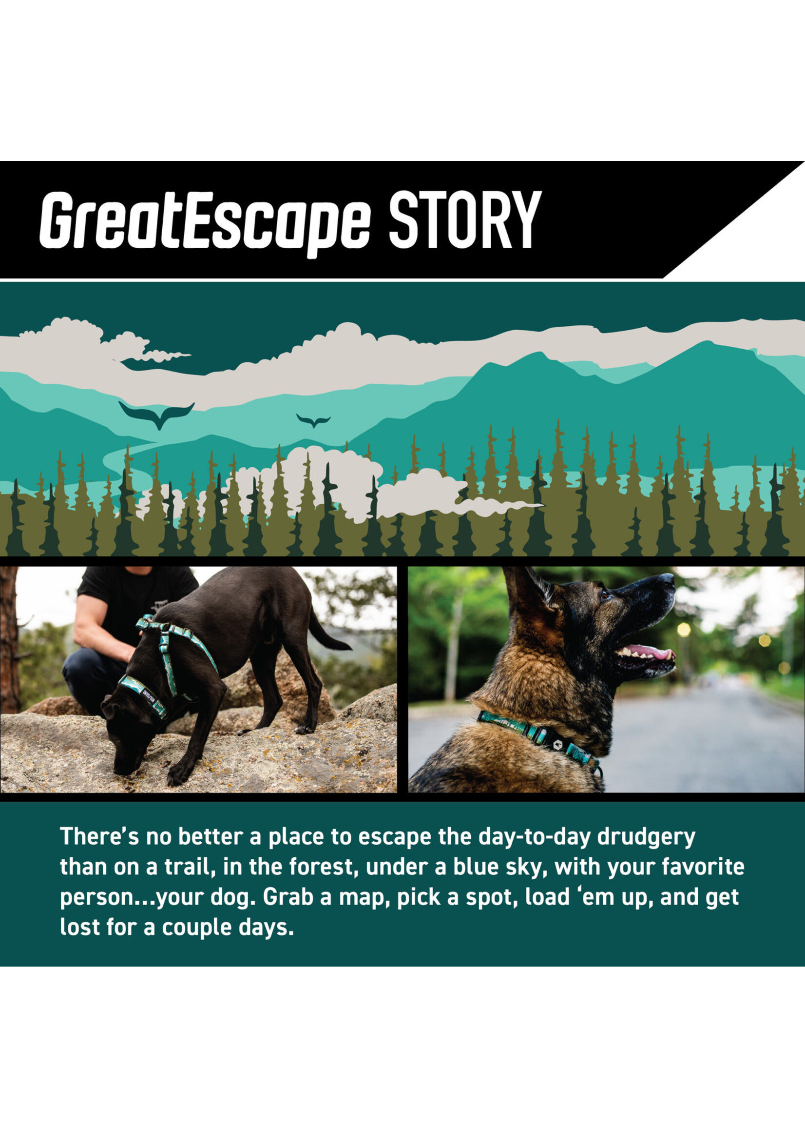 Wolfgang Great Escape Leash 4 ft