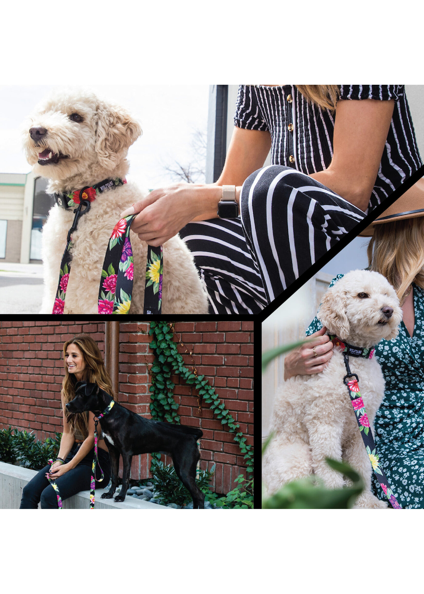 Wolfgang Dark Floral Collar Lg 18-26”