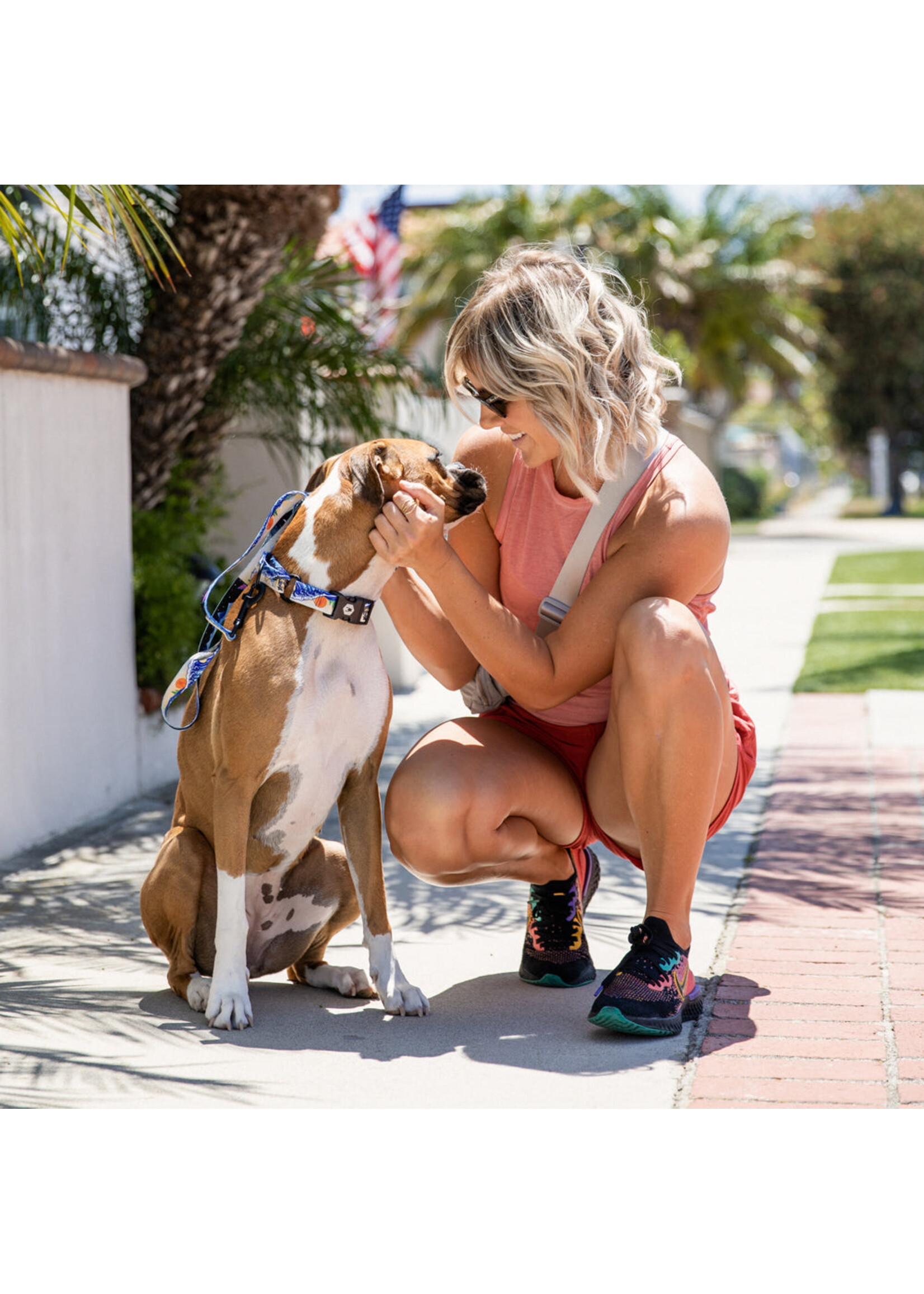 Wolfgang Mountain Wave Collar Md 12-18”