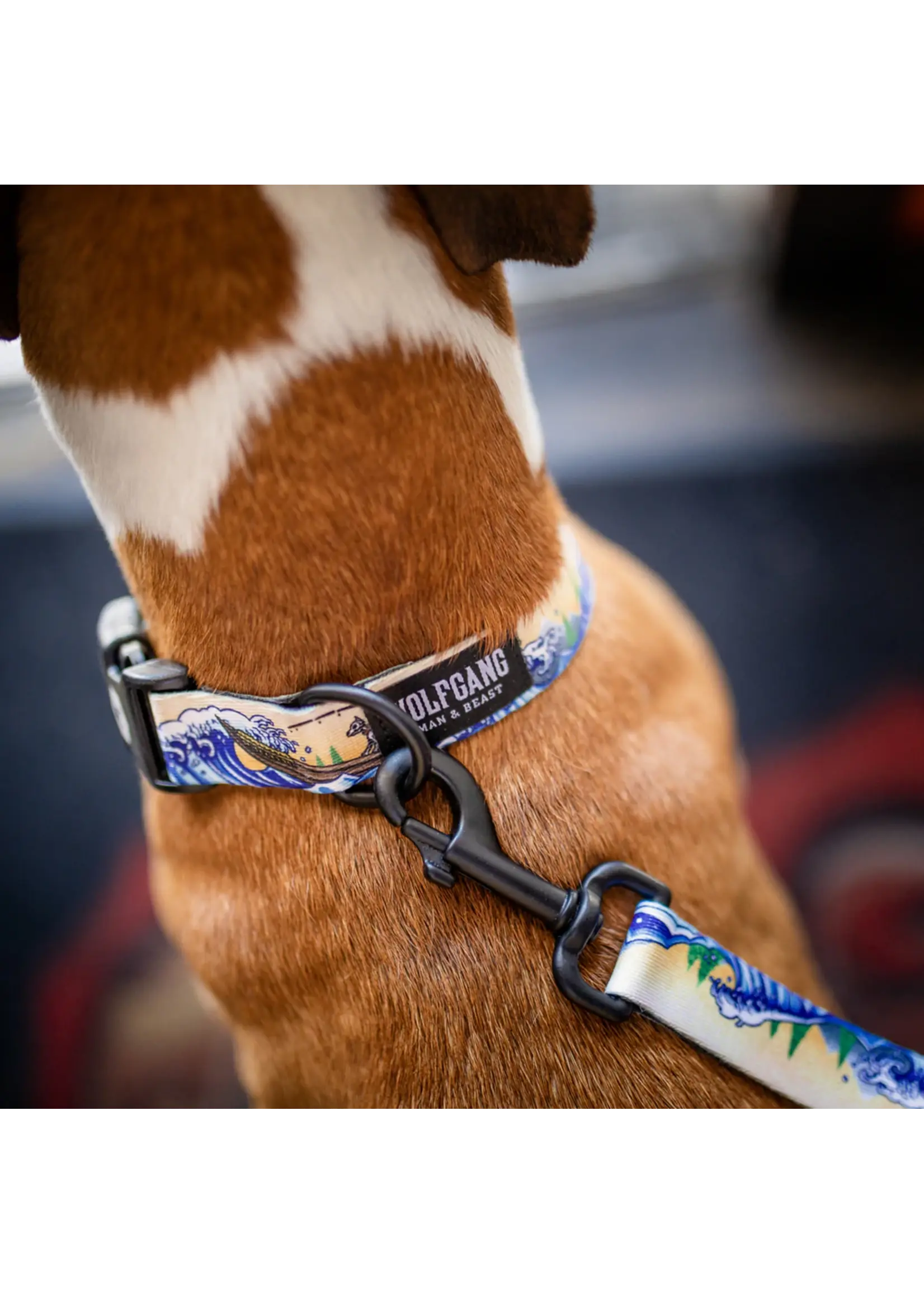 Wolfgang Mountain Wave Collar Sm  8-12”