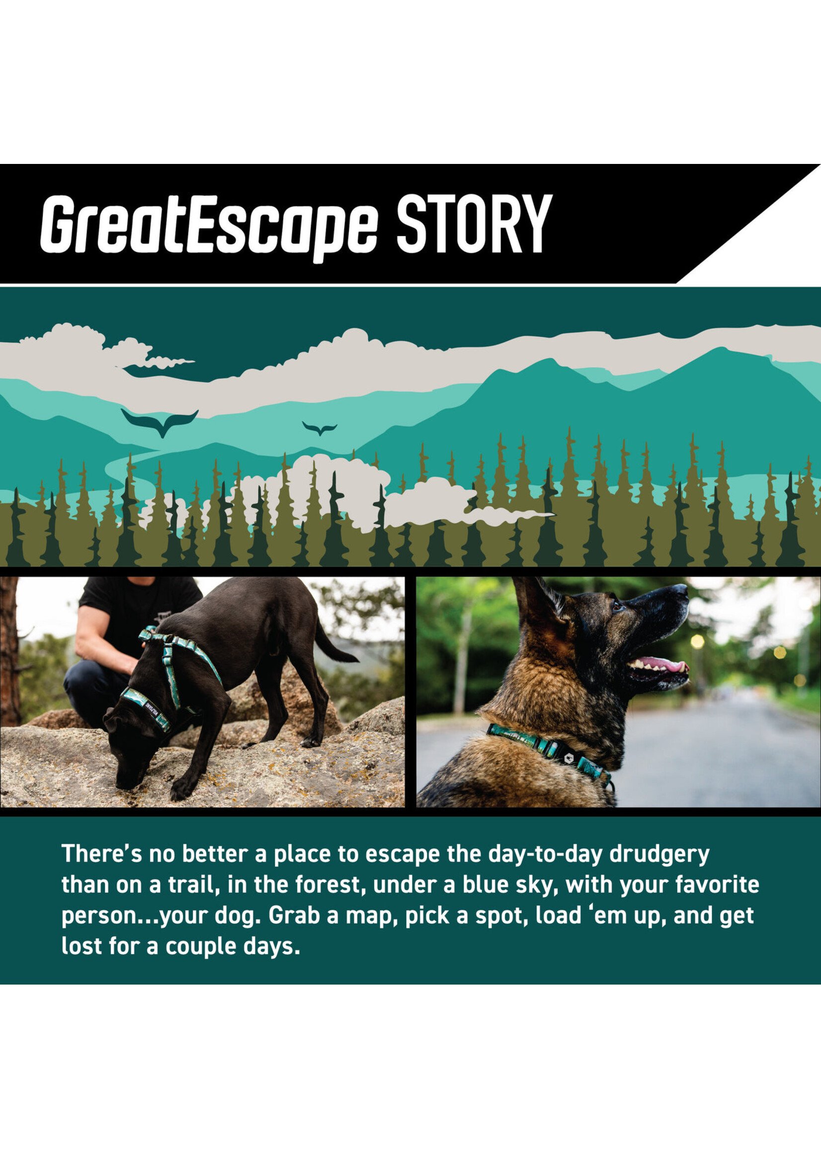 Wolfgang Great Escape Harness Md