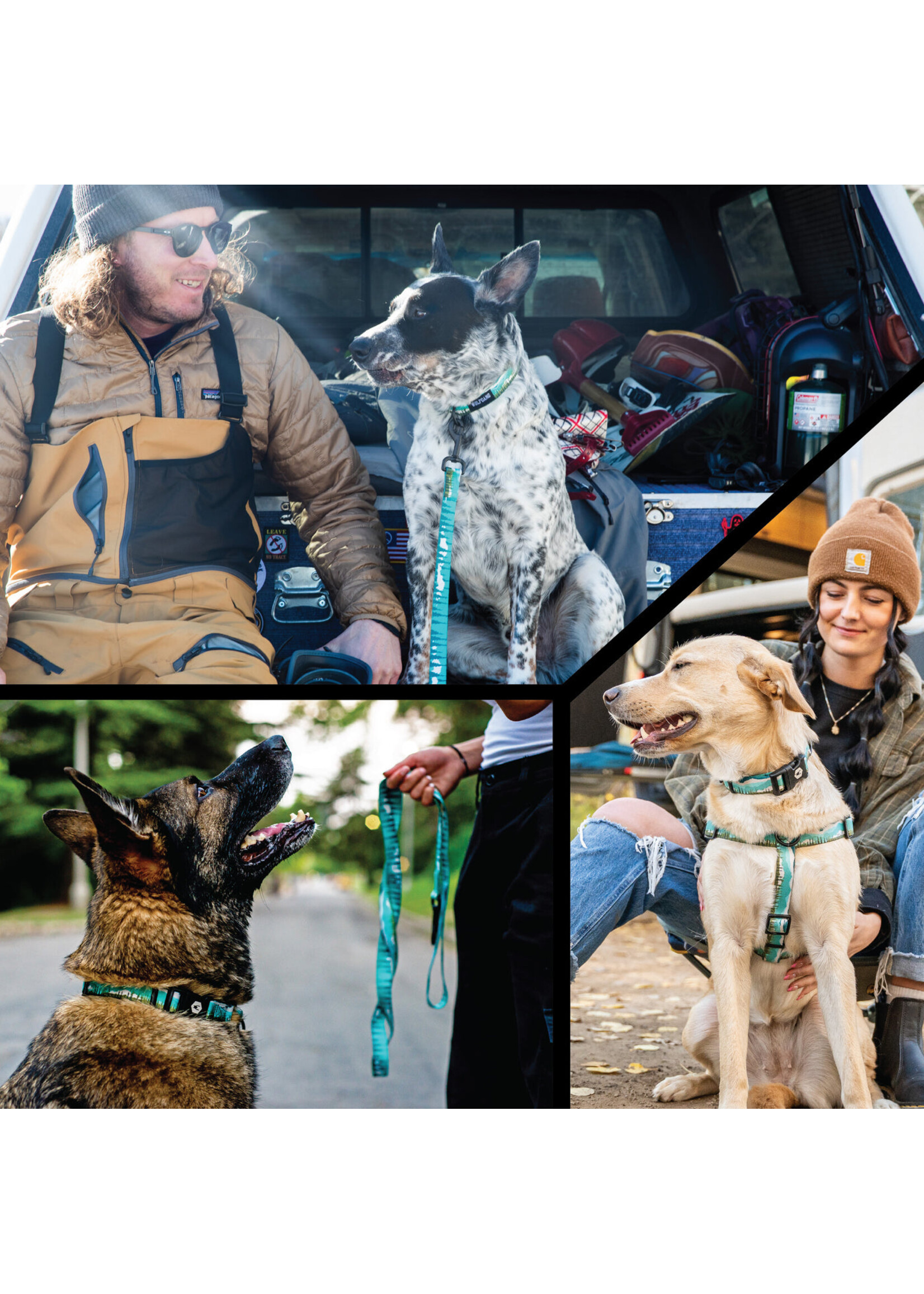 Wolfgang Great Escape Harness Md