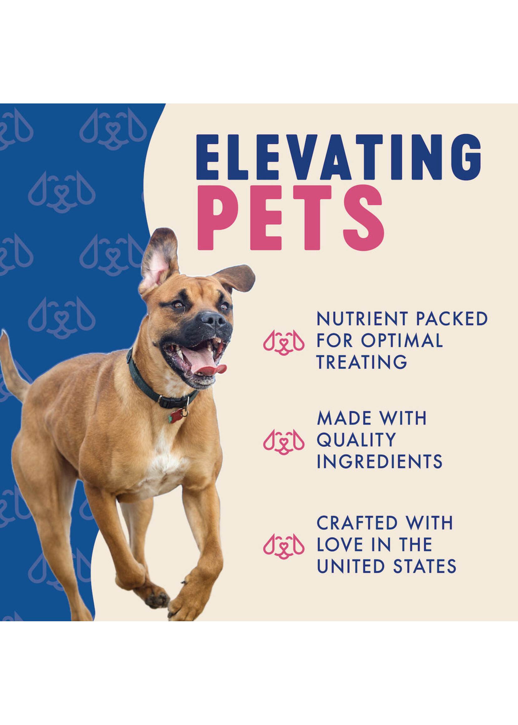 Finley Soft Chew Bites Turkey 6 oz