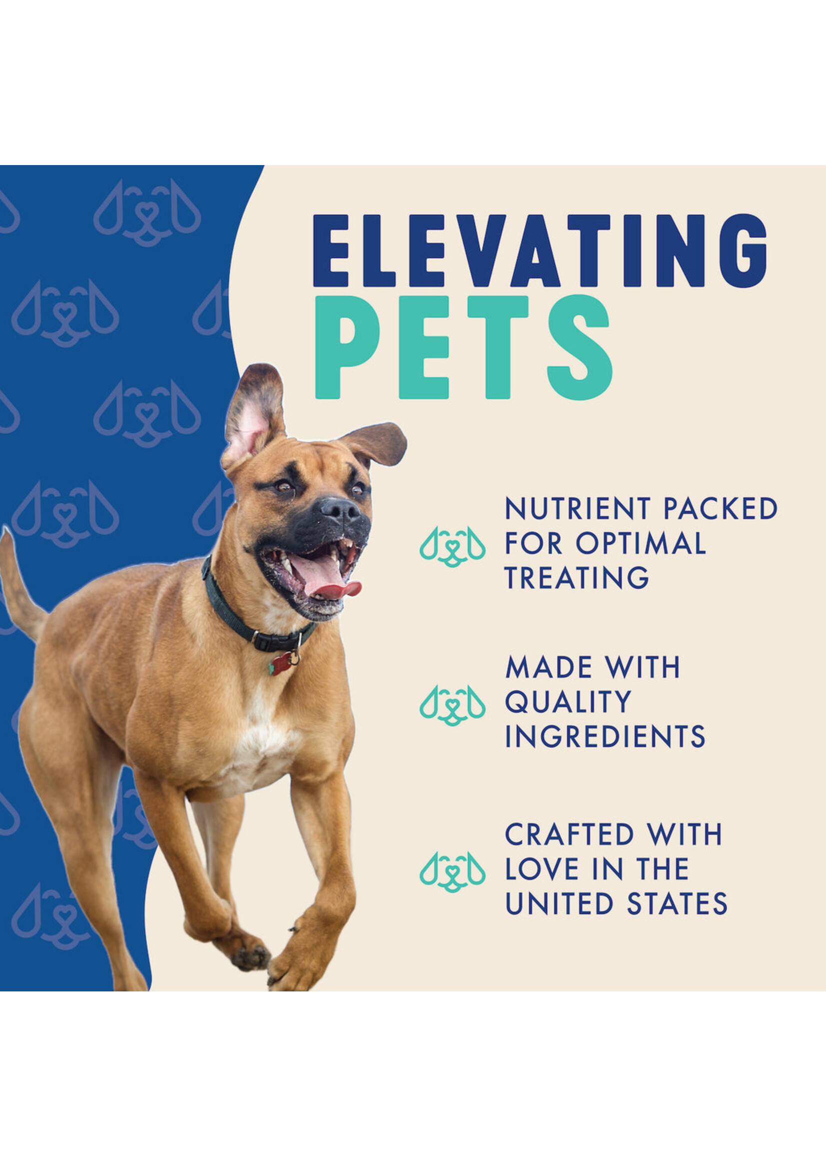 Finley Biscuit BB & Coconut 12 oz