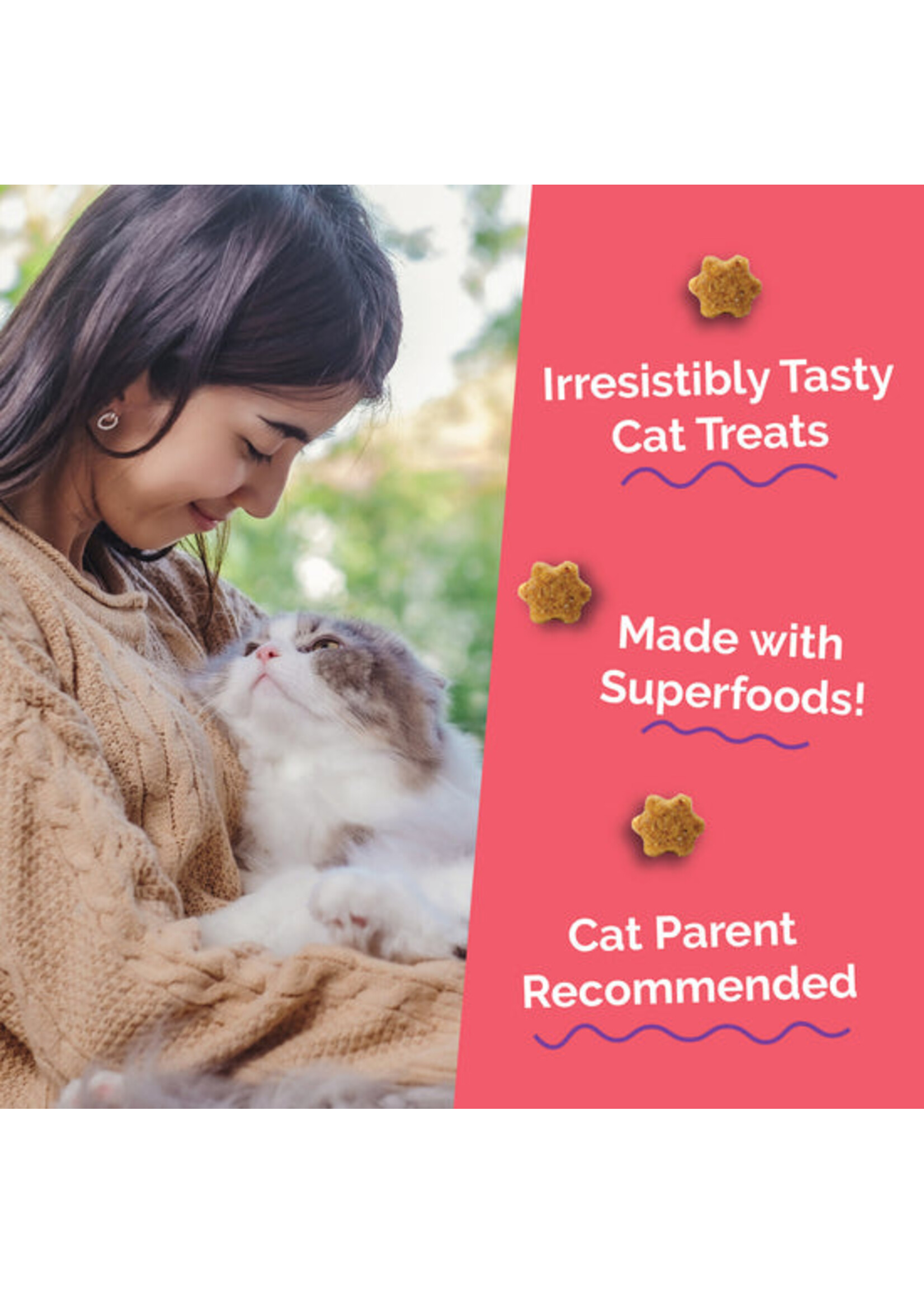 Fruitables Cat Crunchy Treat Salmon/Cranberry 2.5 oz