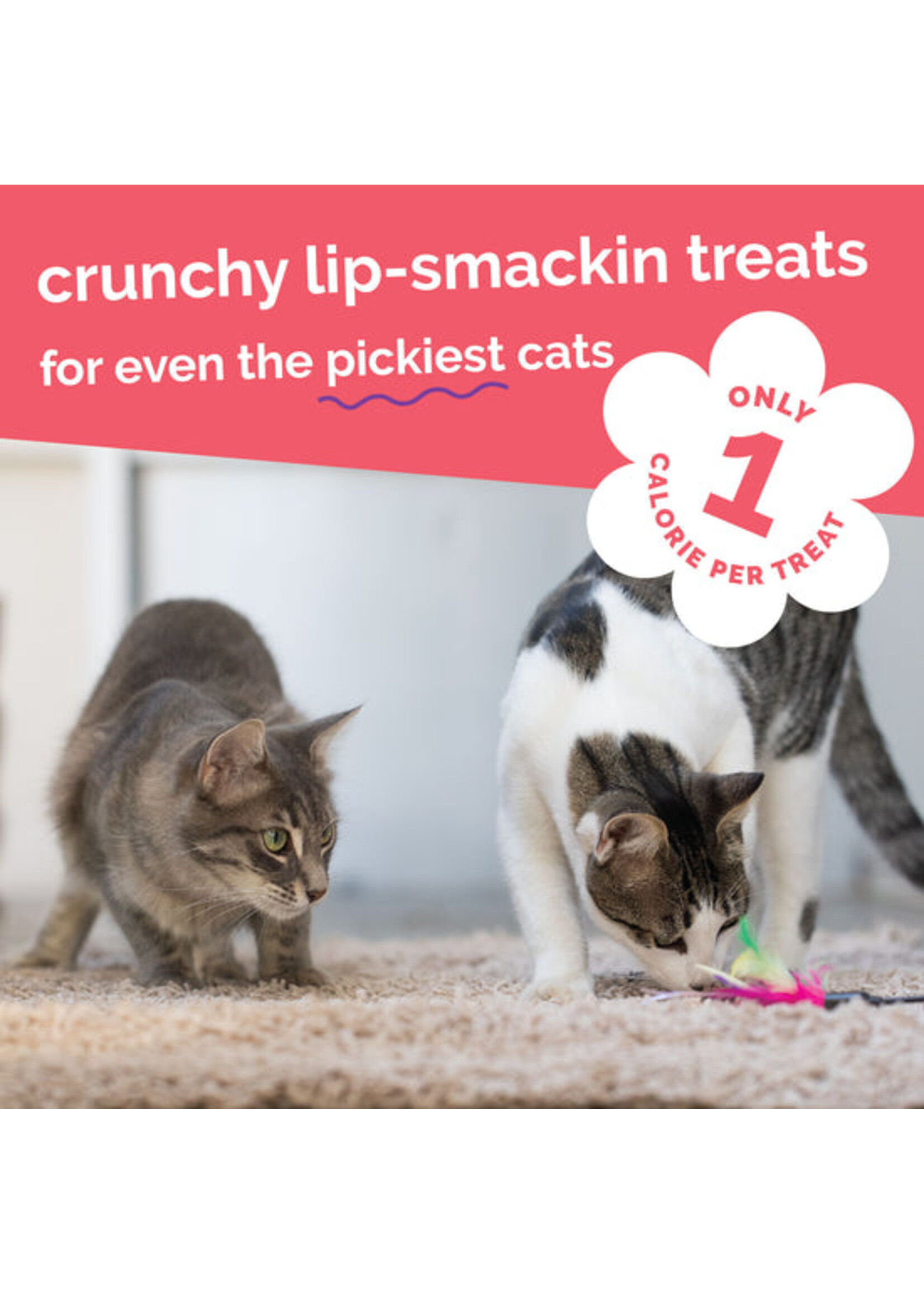 Fruitables Cat Crunchy Treat Salmon/Cranberry 2.5 oz