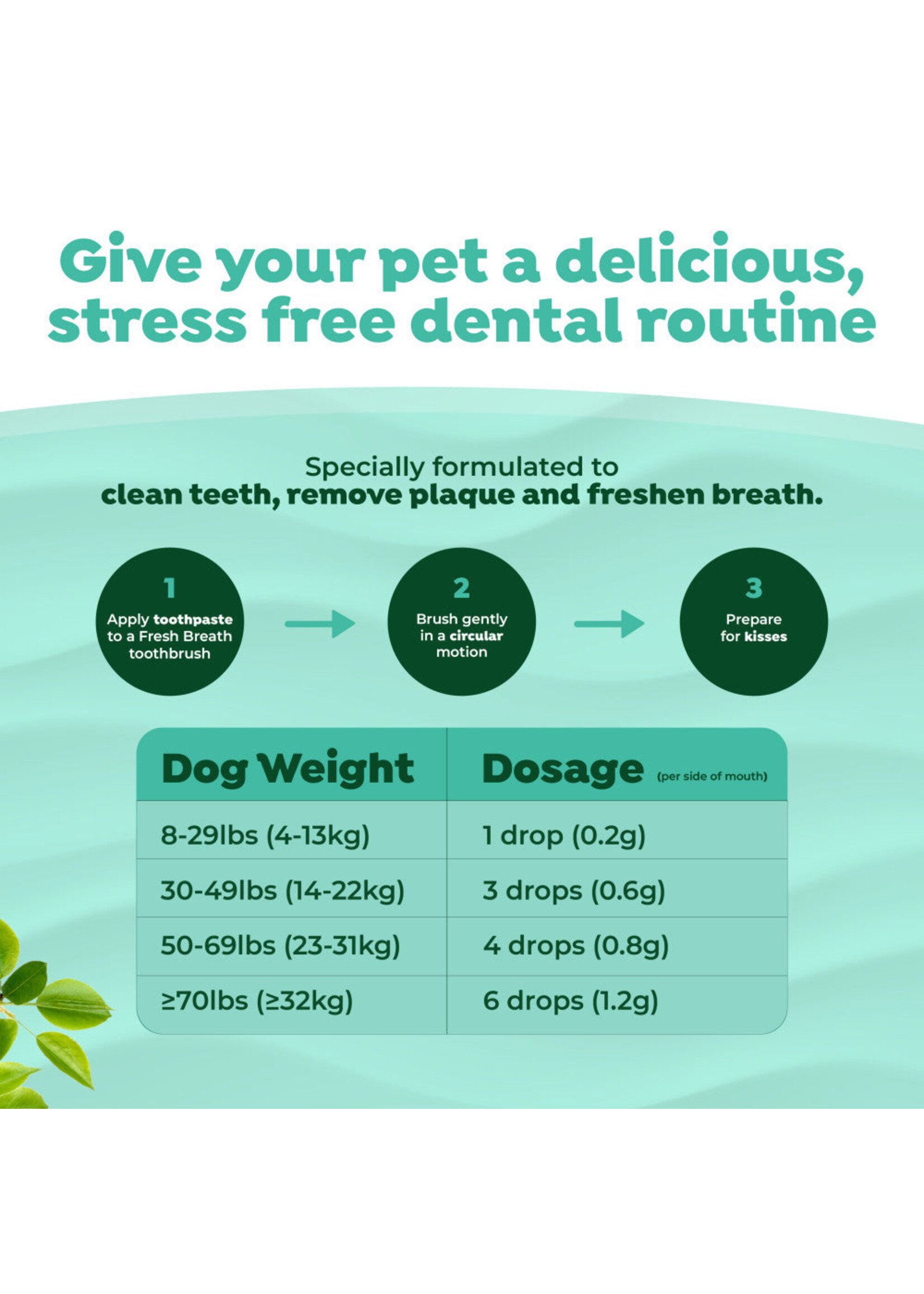 Tropiclean Toothbrush/Gel Lg Dog PB&Honey
