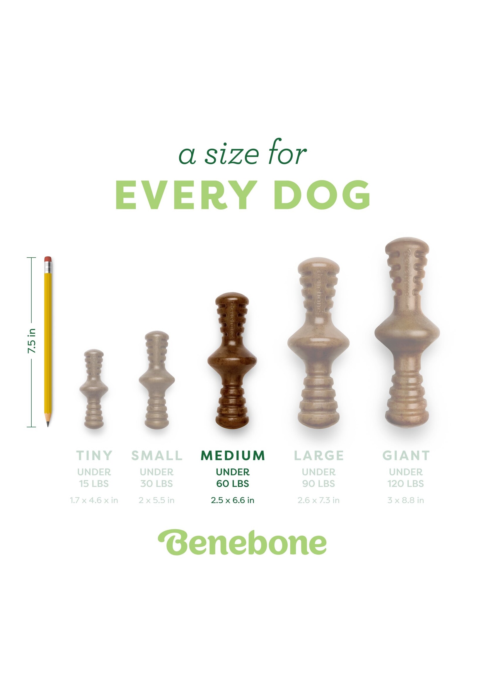 Benebone Zaggler Bacon Med