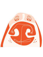 West Paw Toppl XL Aqua