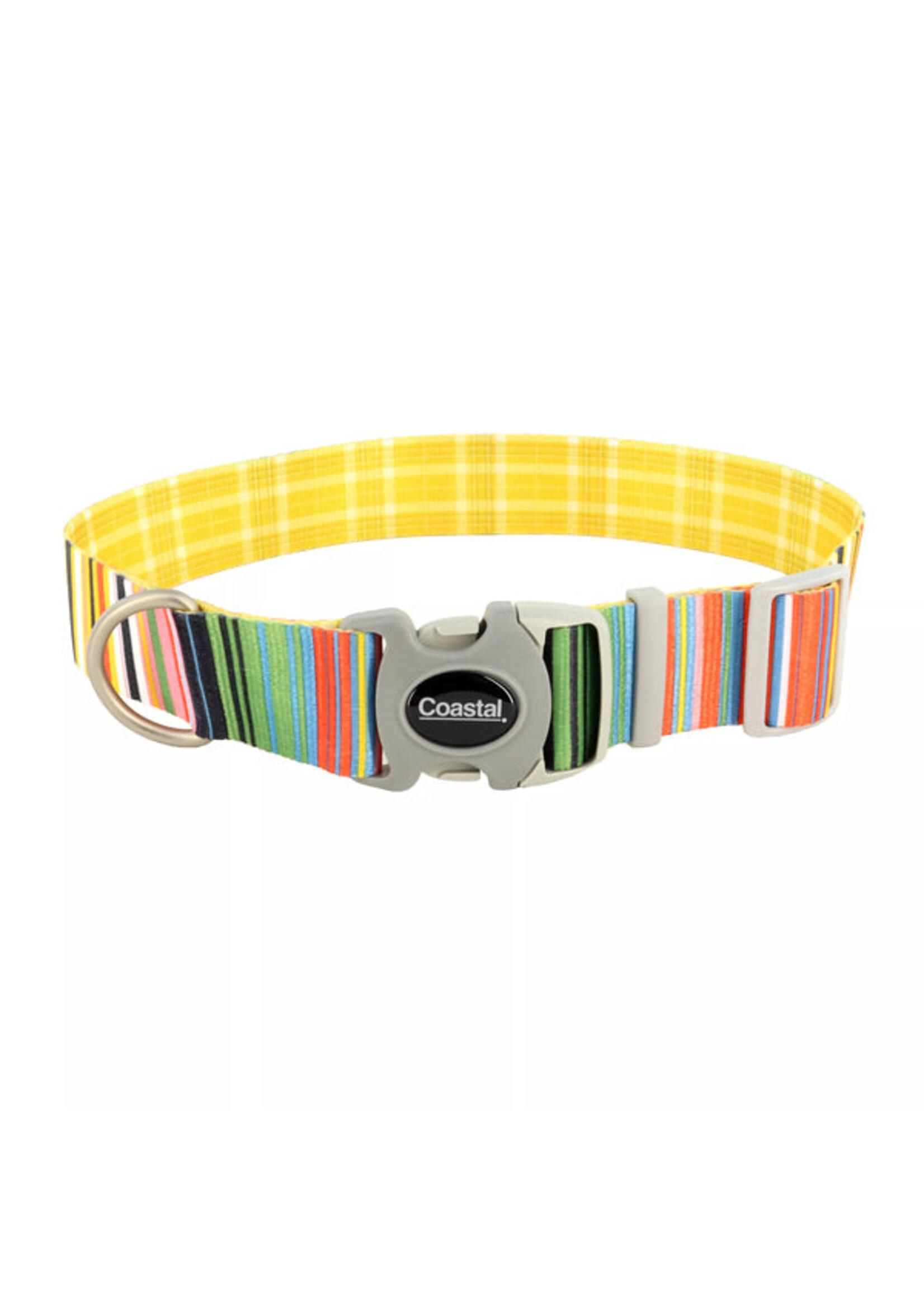 Coastal 1.5” Sublime Collar Stripe w/ Gold