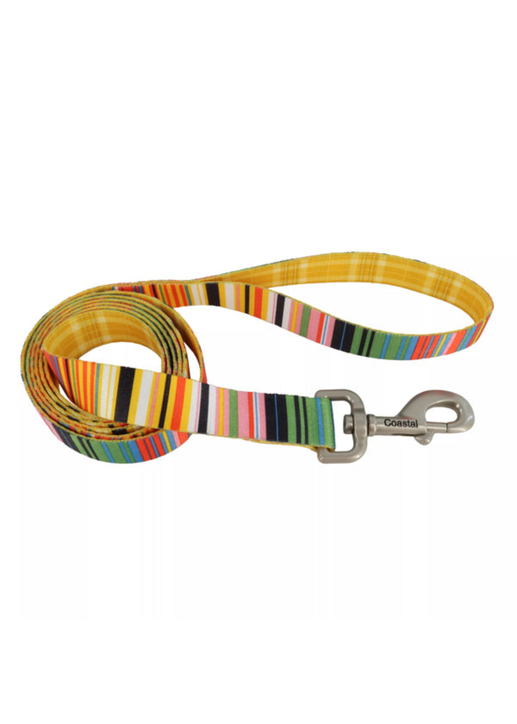 Coastal 1” Sublime Leash Stripe w/ Gold