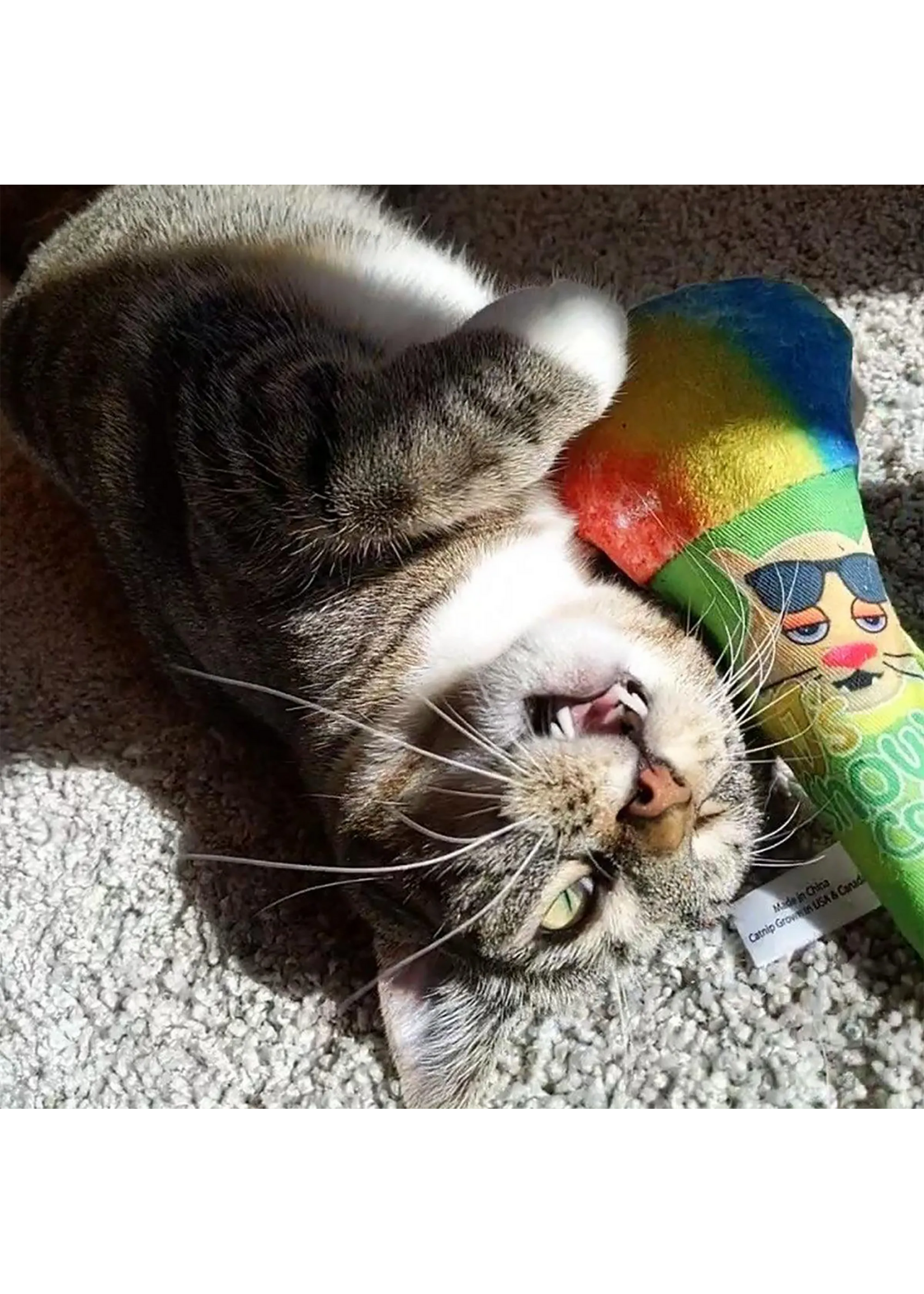 Meowijuana Get Chilled