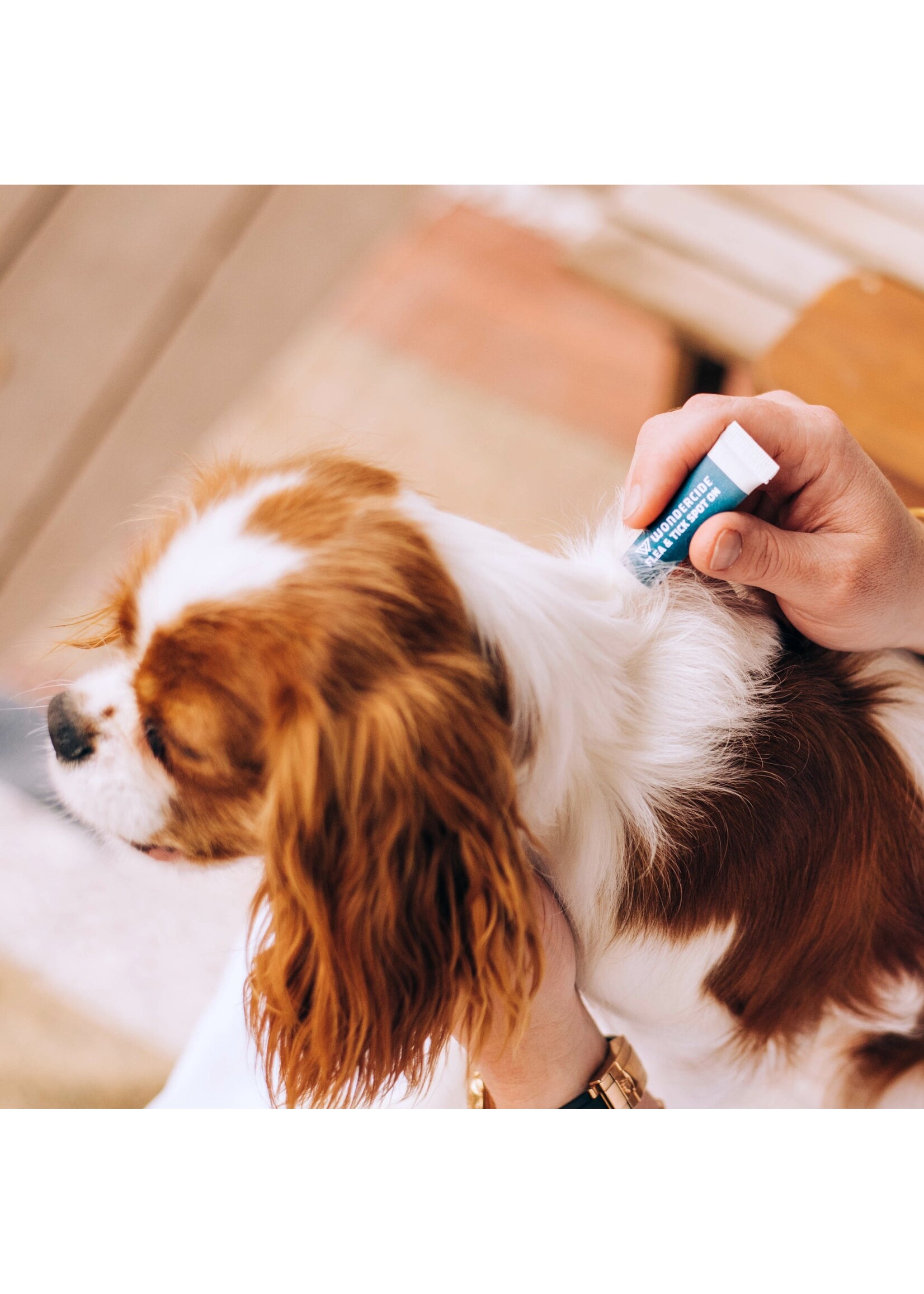 Wondercide Flea & Tick Medium Dog 3pk