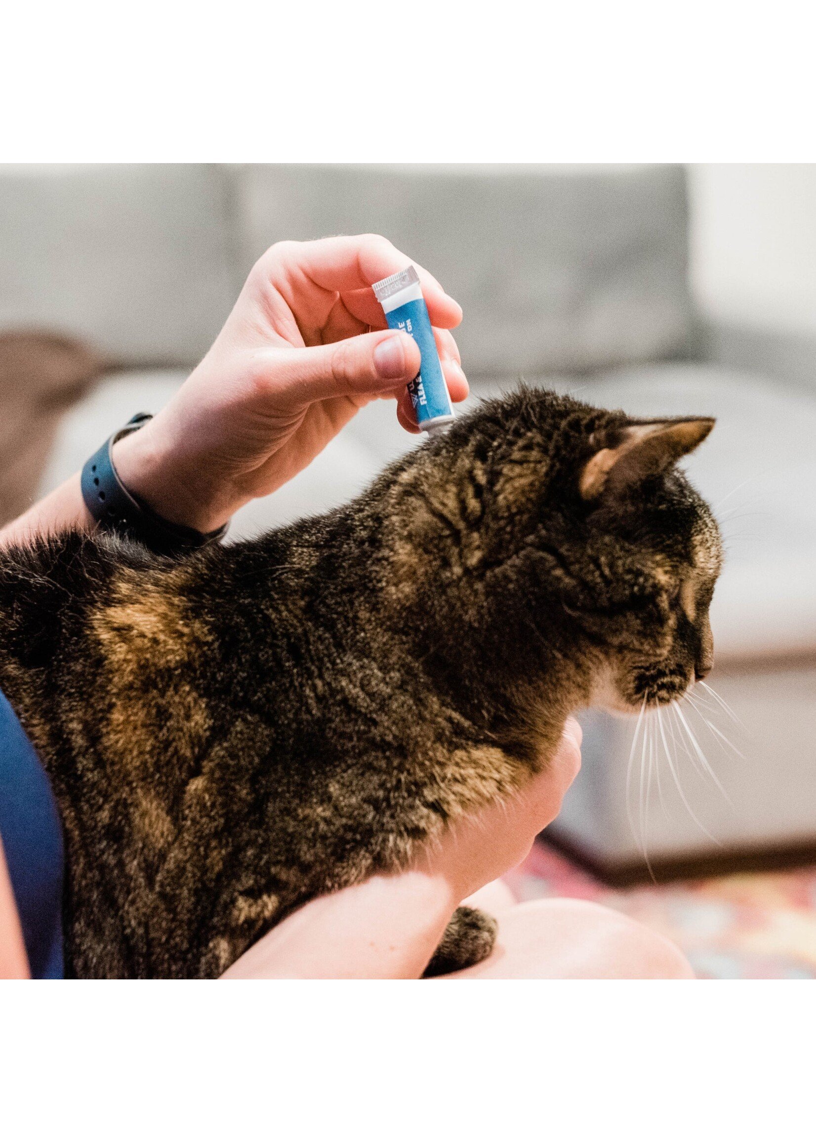 Wondercide Flea & Tick Cat 3pk