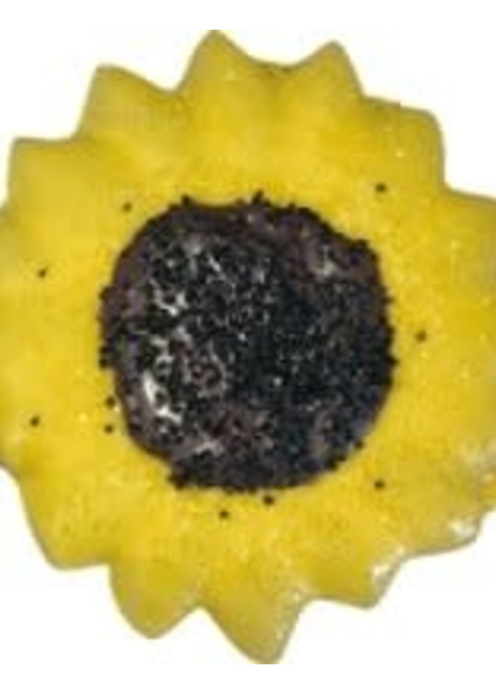 PP Sunflower (11981)