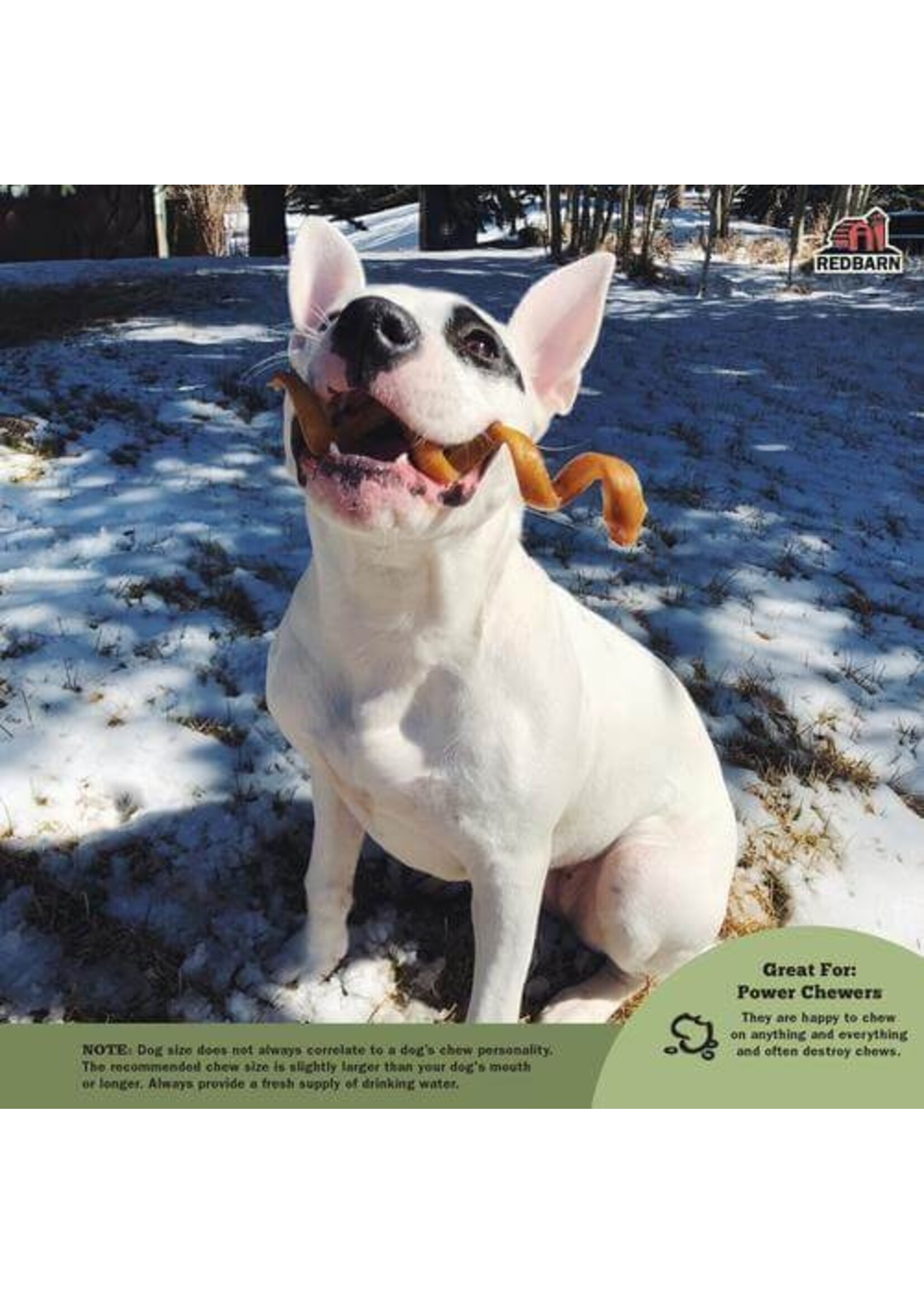 RBP Odor Free Bully Spring