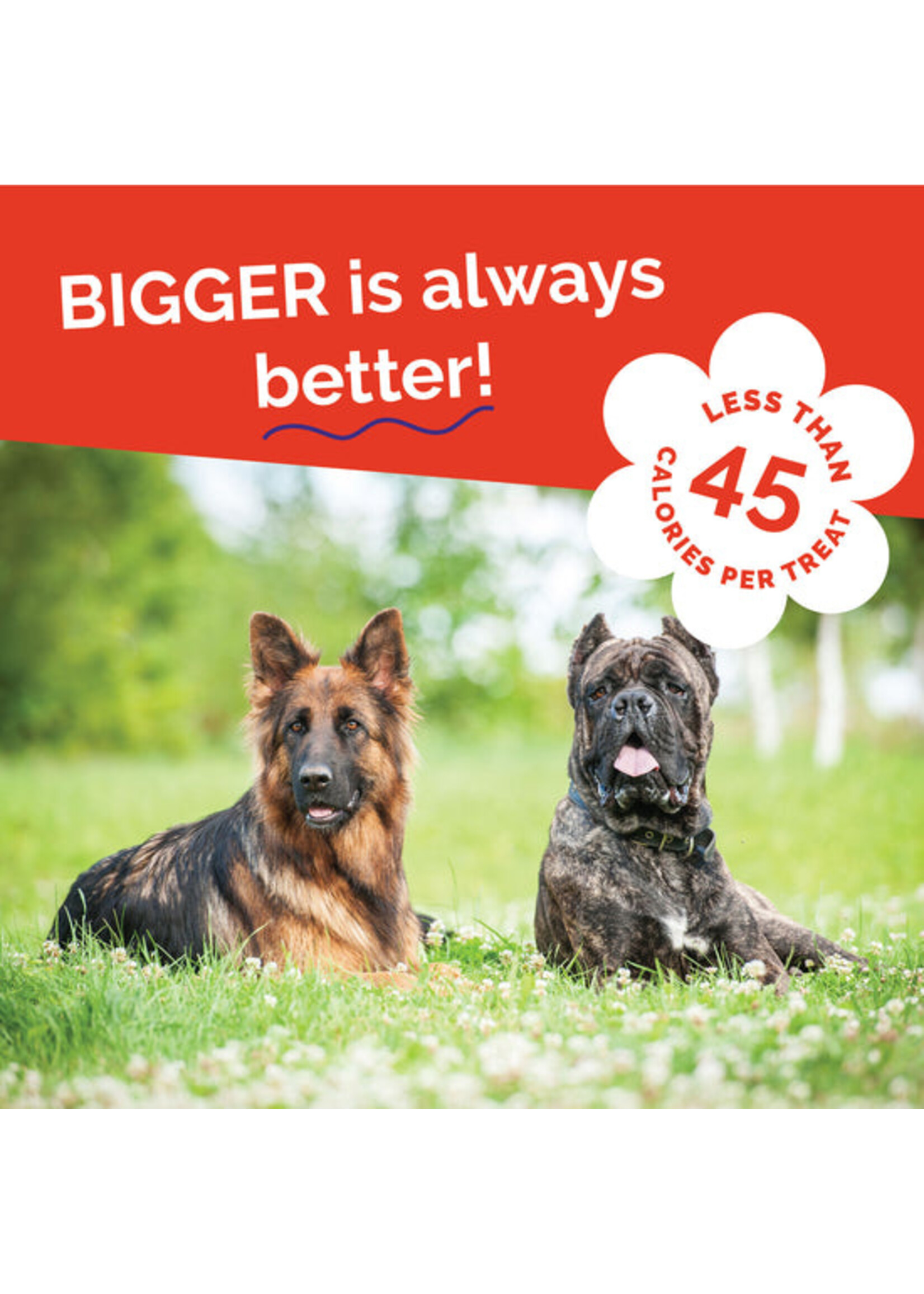 Fruitables Biggies Crispy Bacon & Apple 16oz