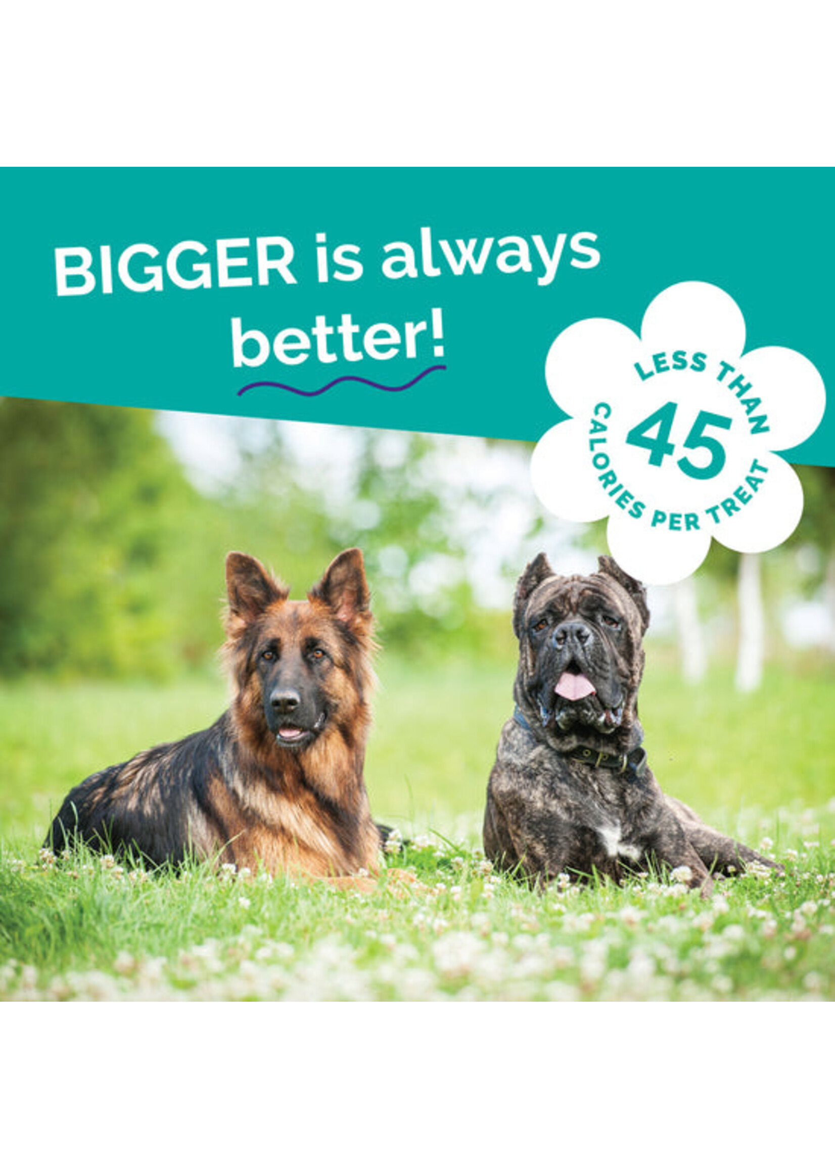 Fruitables Biggies Almond Butter & Coconut 16oz