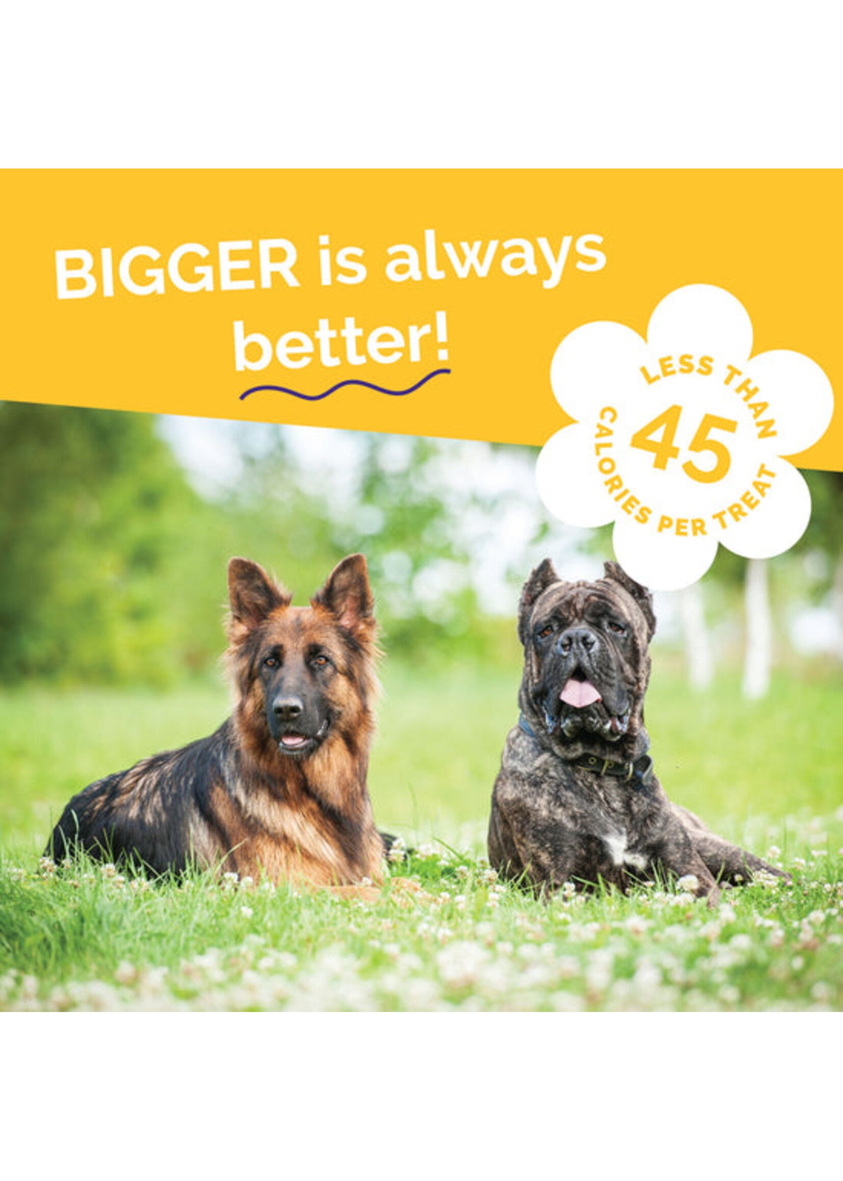 Fruitables Biggies Bag Peanut Butter Banana 16oz