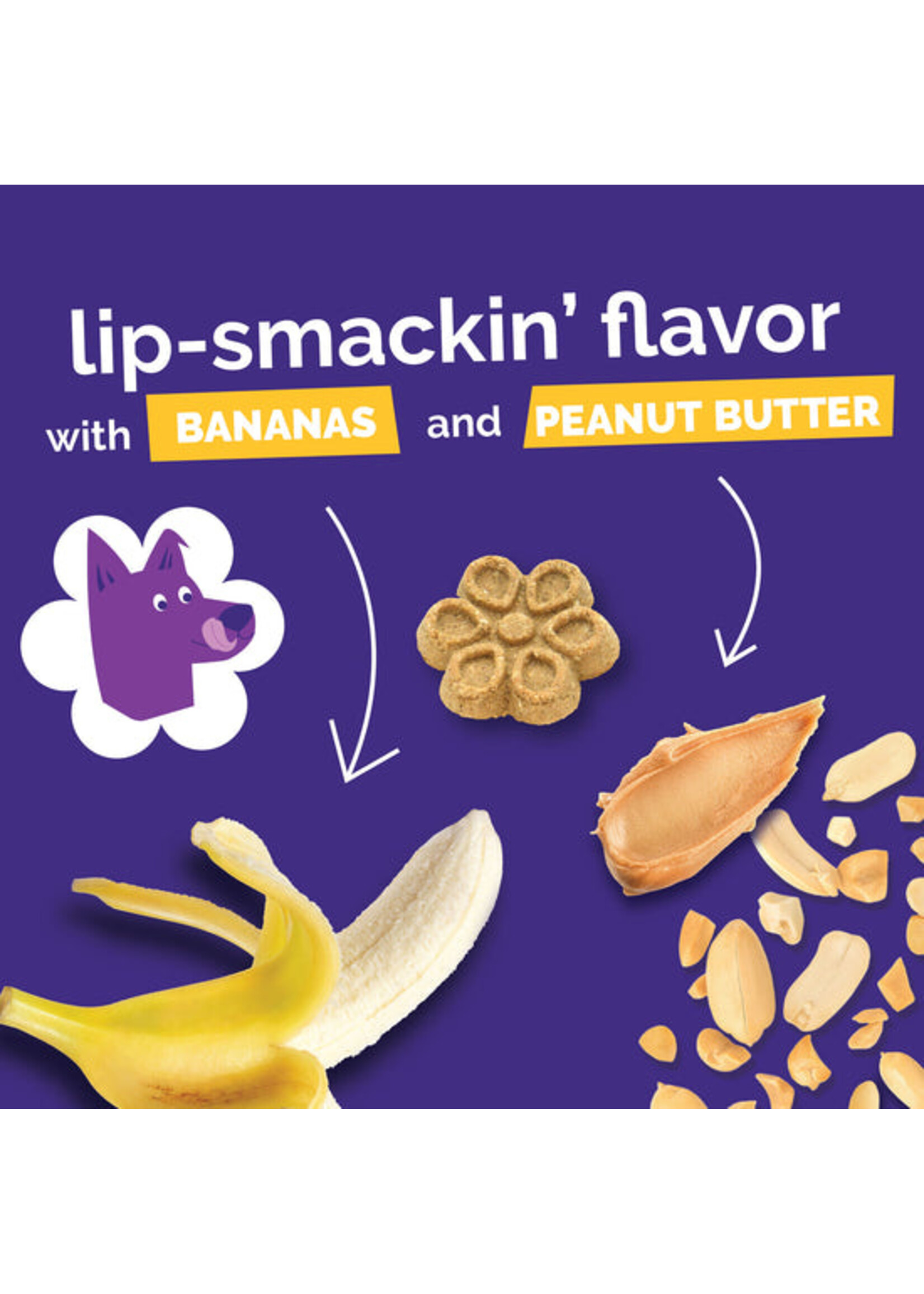 Fruitables Biggies Bag Peanut Butter Banana 16oz