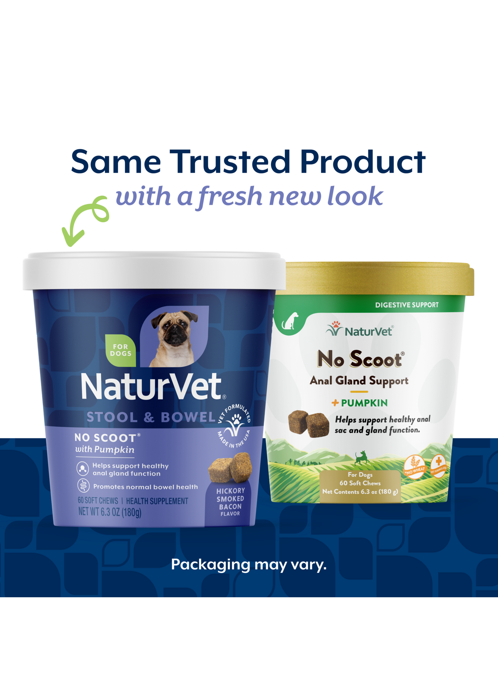 NaturVet No Scoot/ Pumpkin 60ct