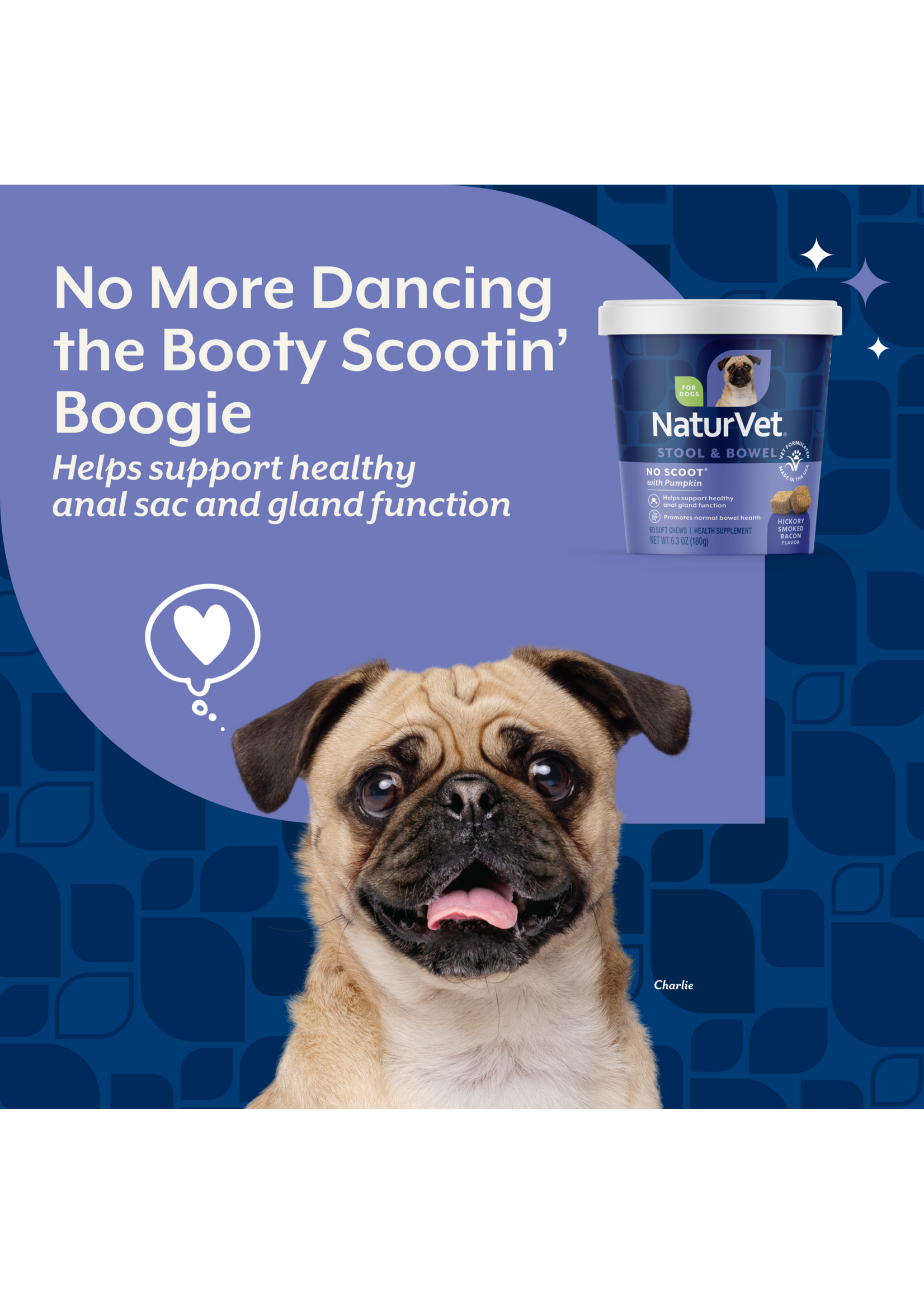 NaturVet No Scoot/ Pumpkin 60ct