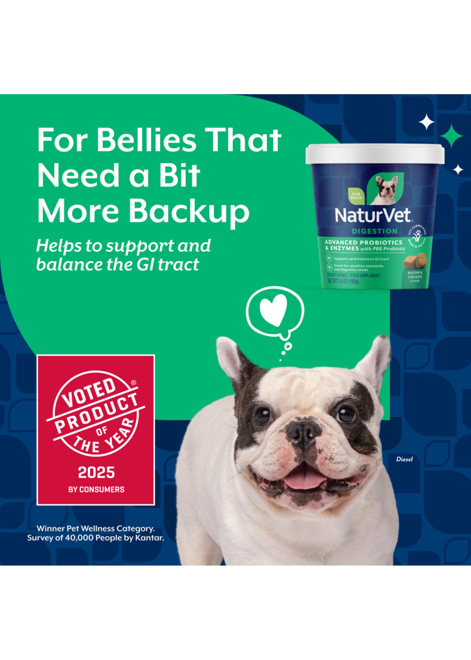 NaturVet Advanced Probiotics Enzymes 70ct