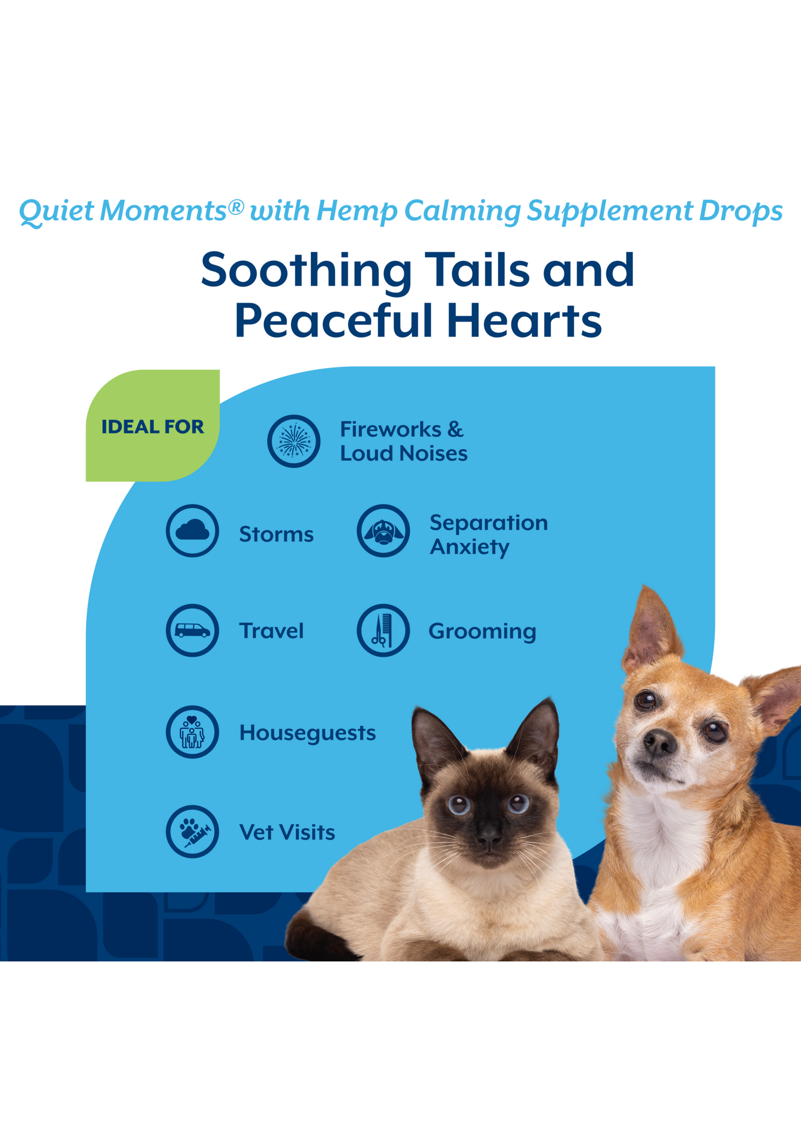 NaturVet Quiet Moments Hemp Drop 1oz