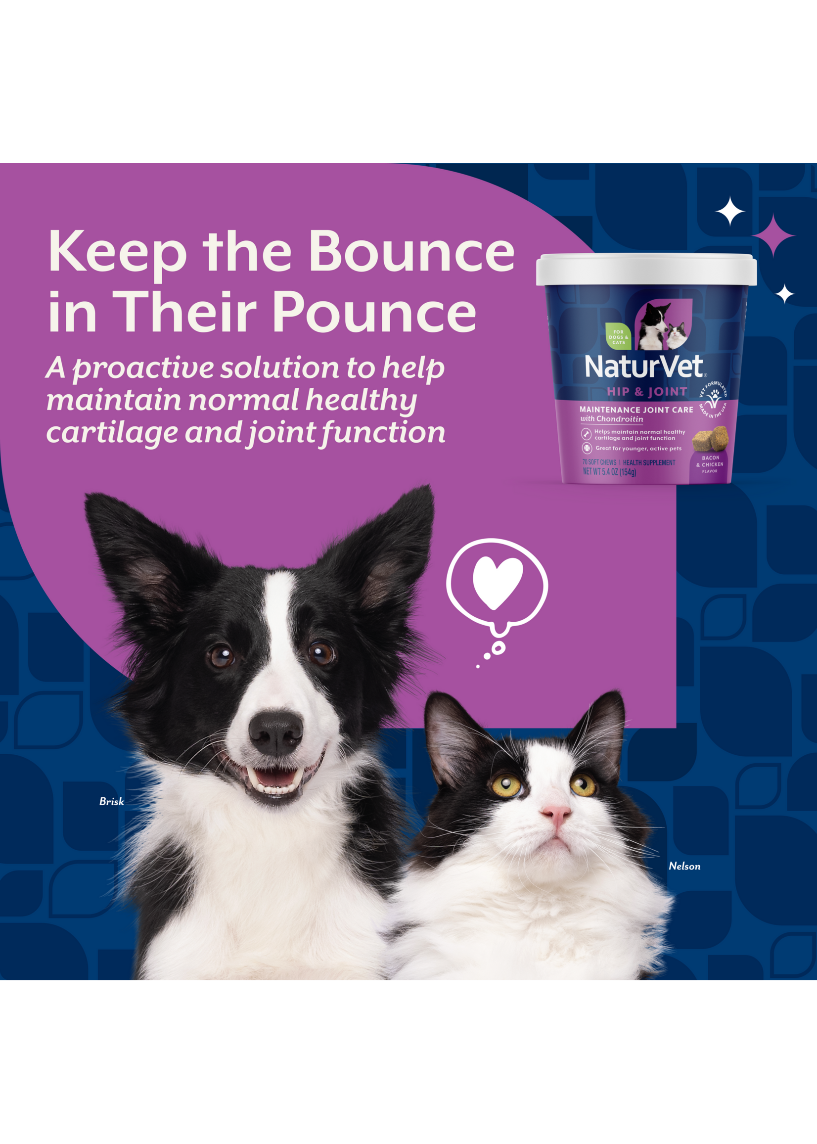 NaturVet Glucosamine Level 1, 70ct