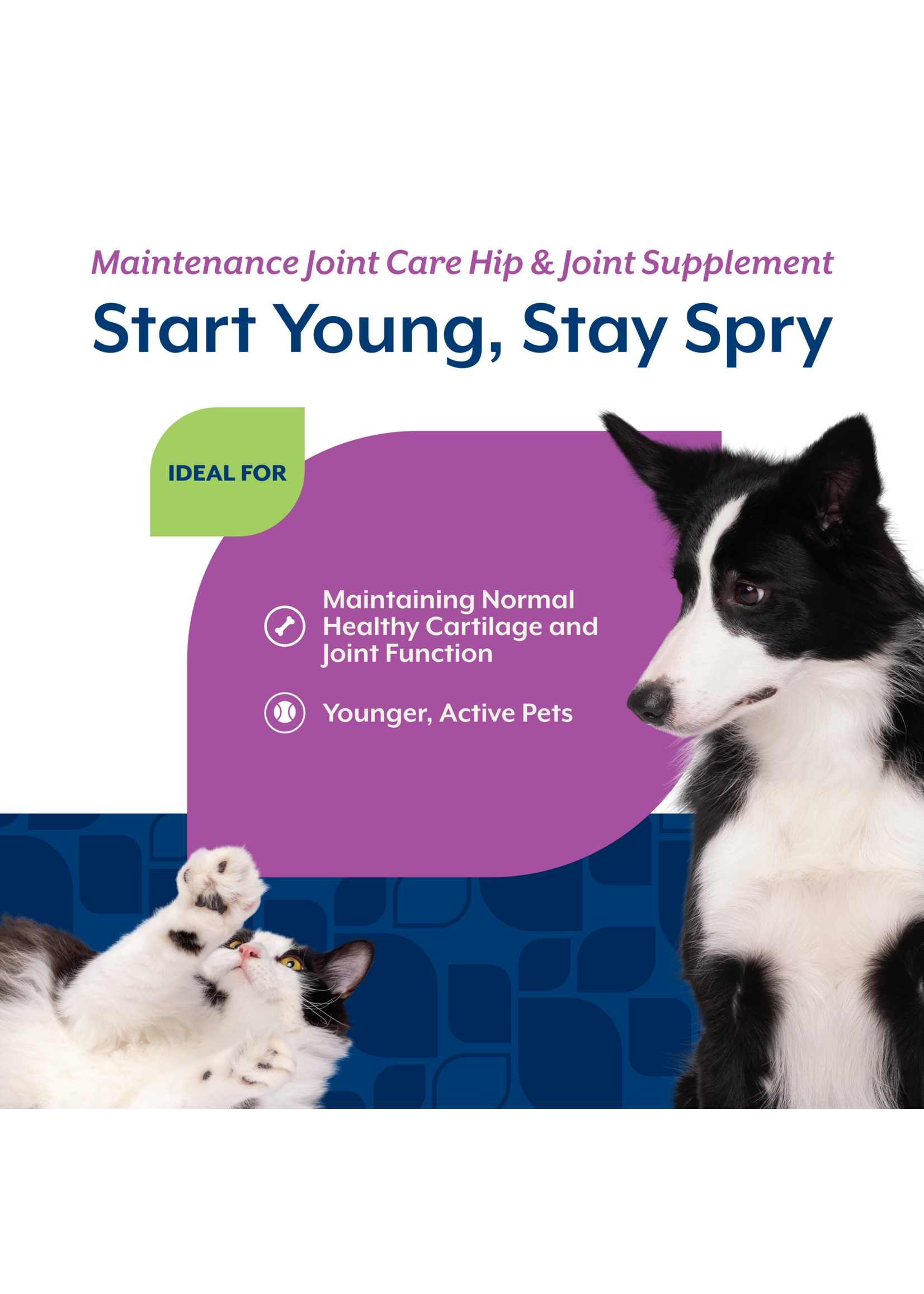 NaturVet Glucosamine Level 1, 70ct