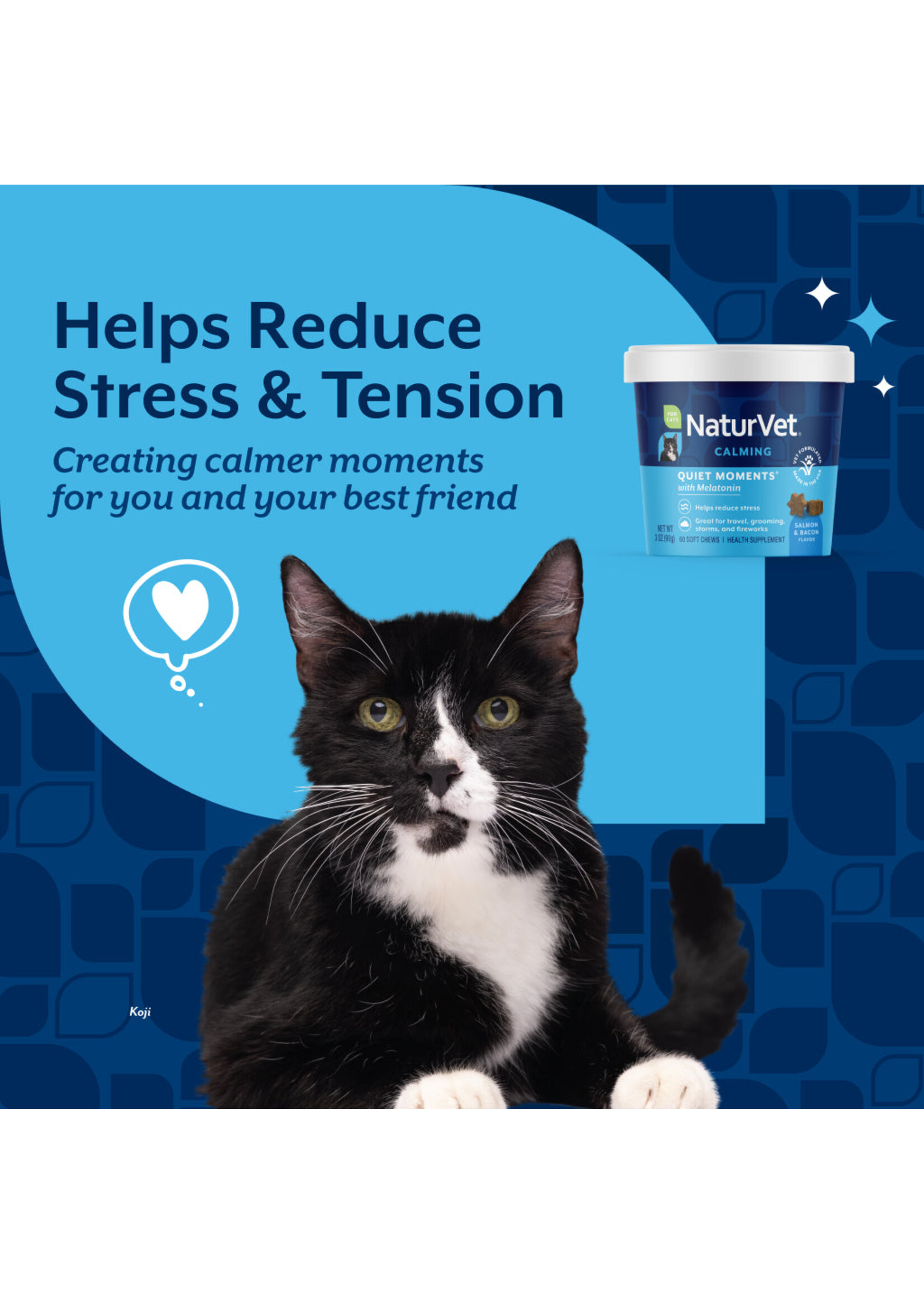 NaturVet Quiet Moments Melatonin 60ct CAT