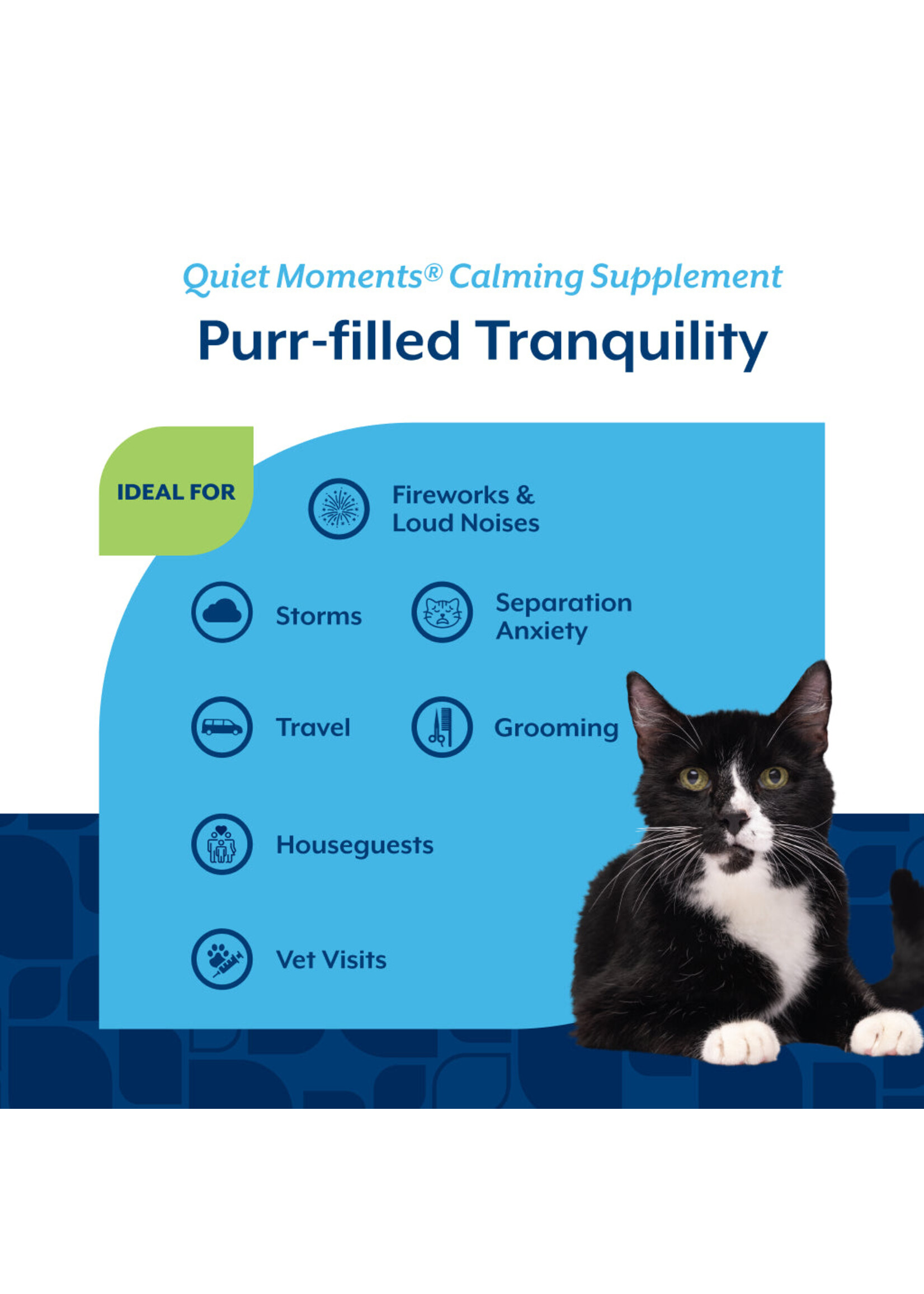 NaturVet Quiet Moments Melatonin 60ct CAT