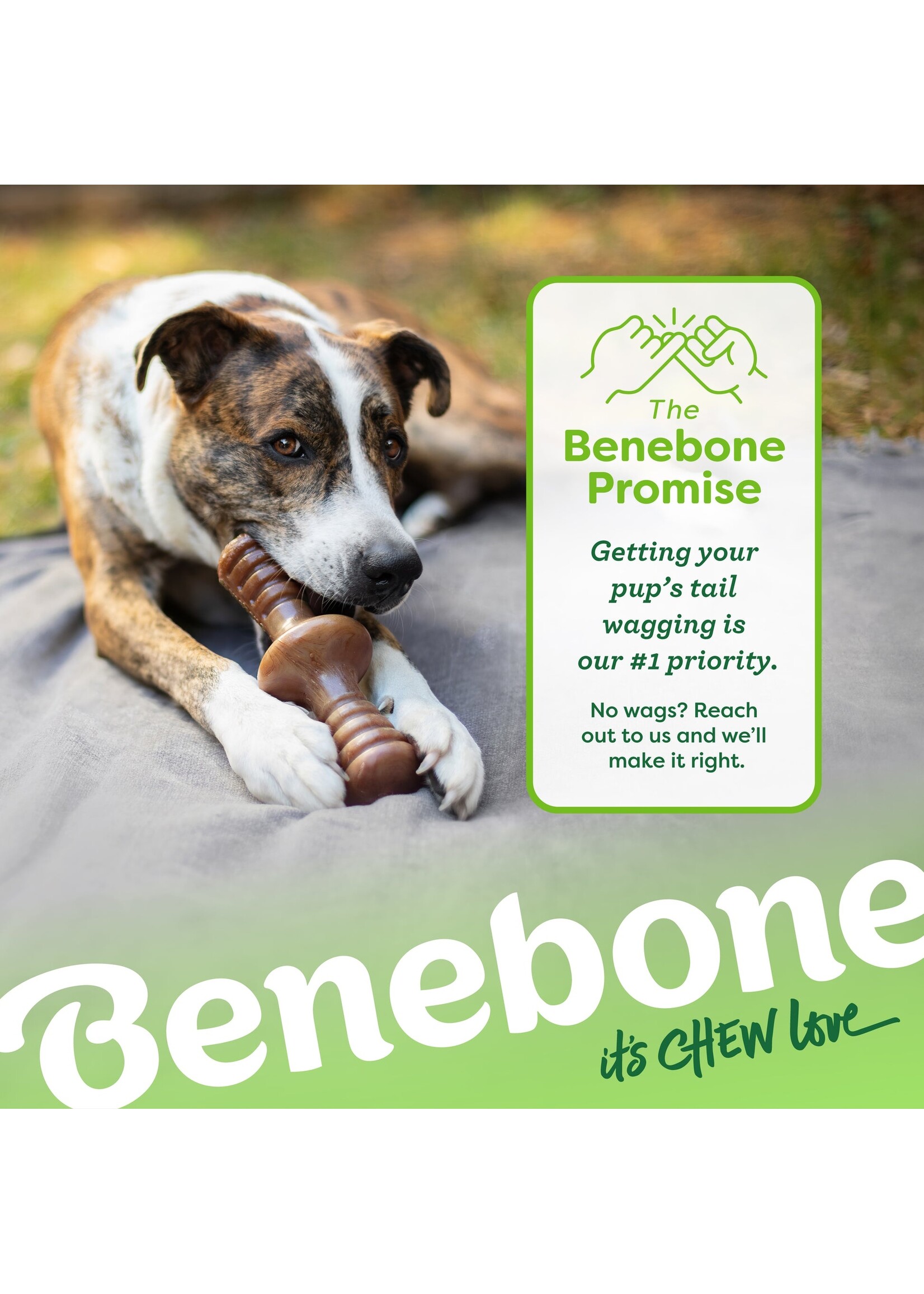 Benebone Zaggler Large (Peanut Butter)