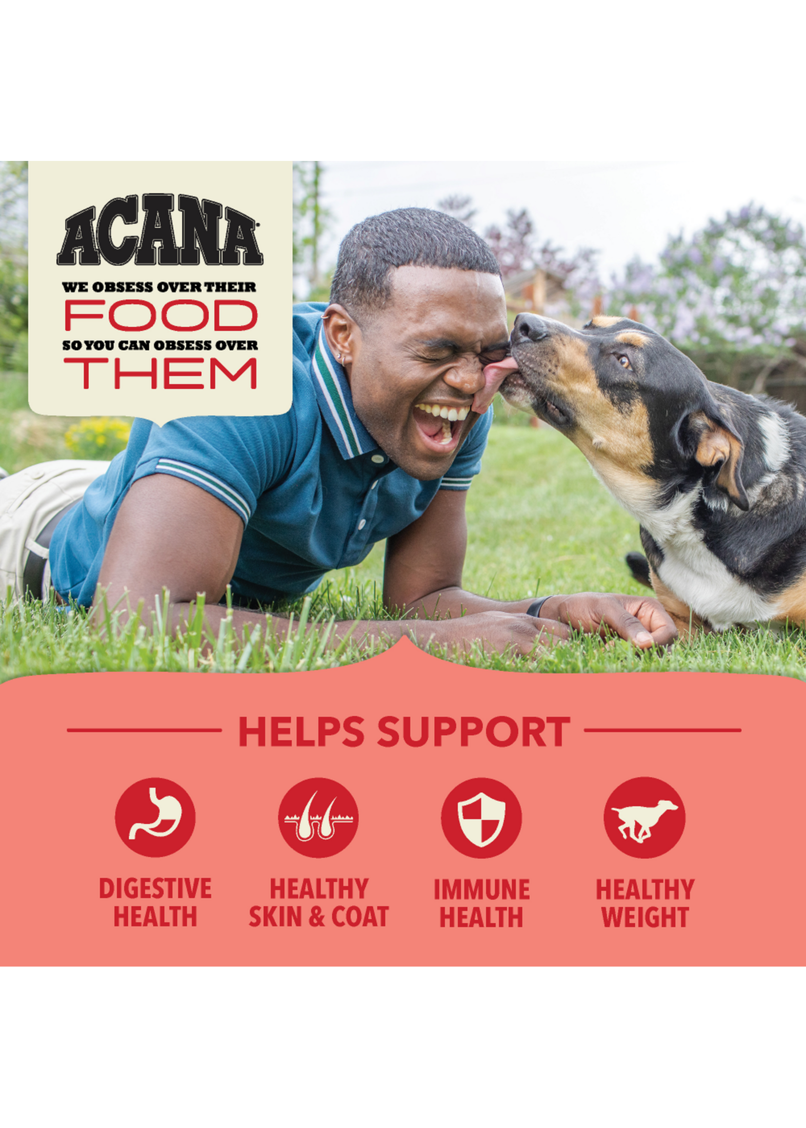 Acana Grains Red Meat Recipe Dog