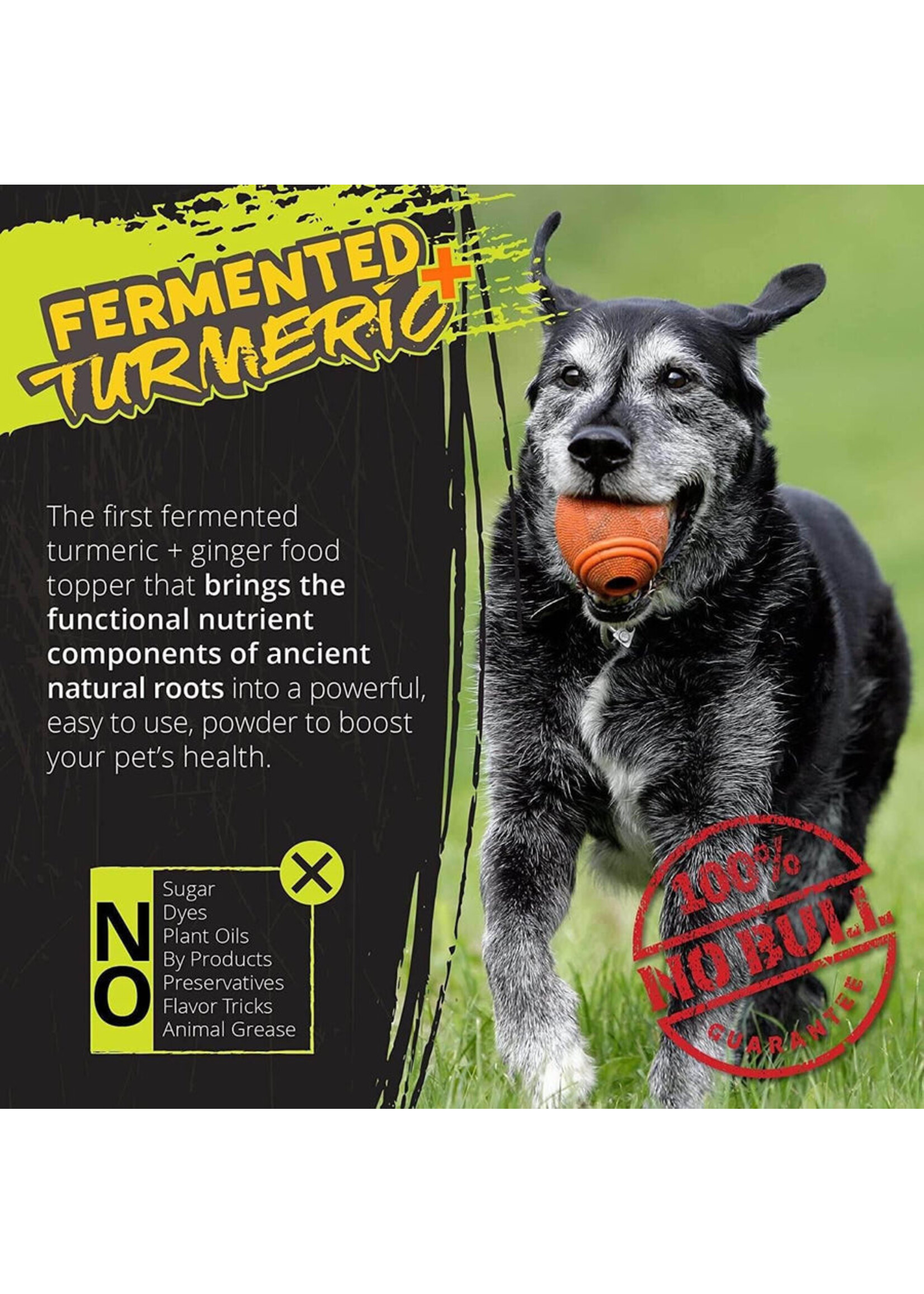 Rogue Fermented Turmeric