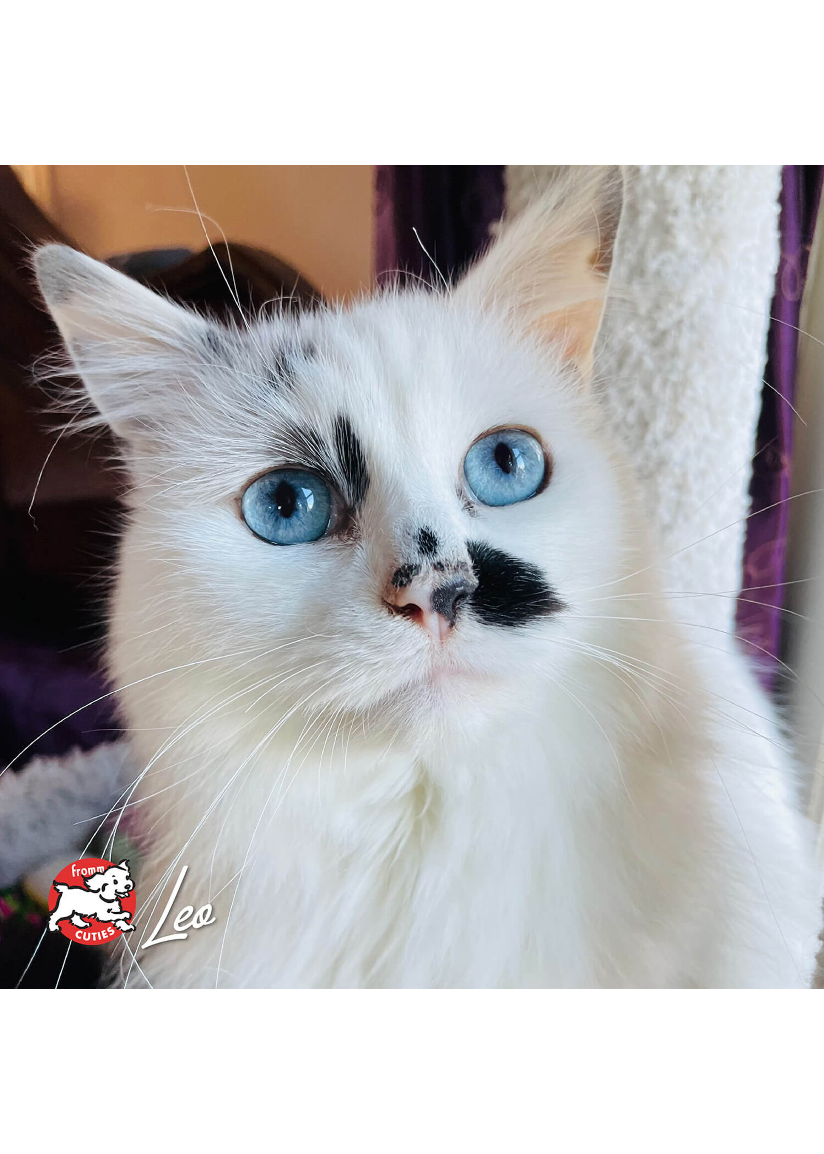 Fromm PurrSnickety Chicken Pâté 5.5 oz