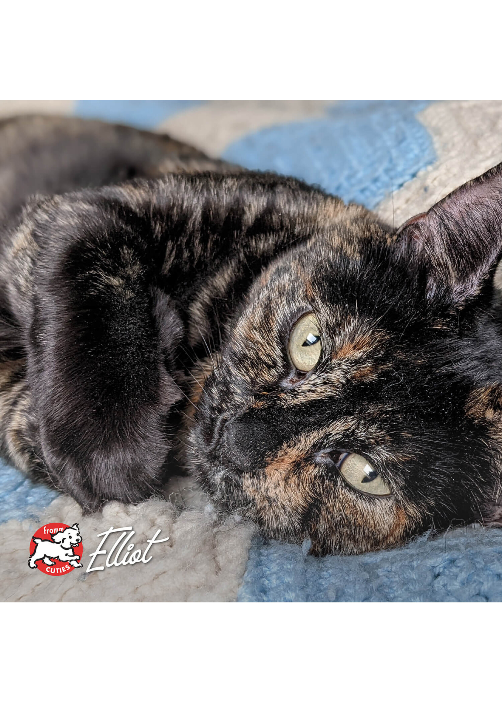 Fromm PurrSnickety Chicken Pâté 5.5 oz