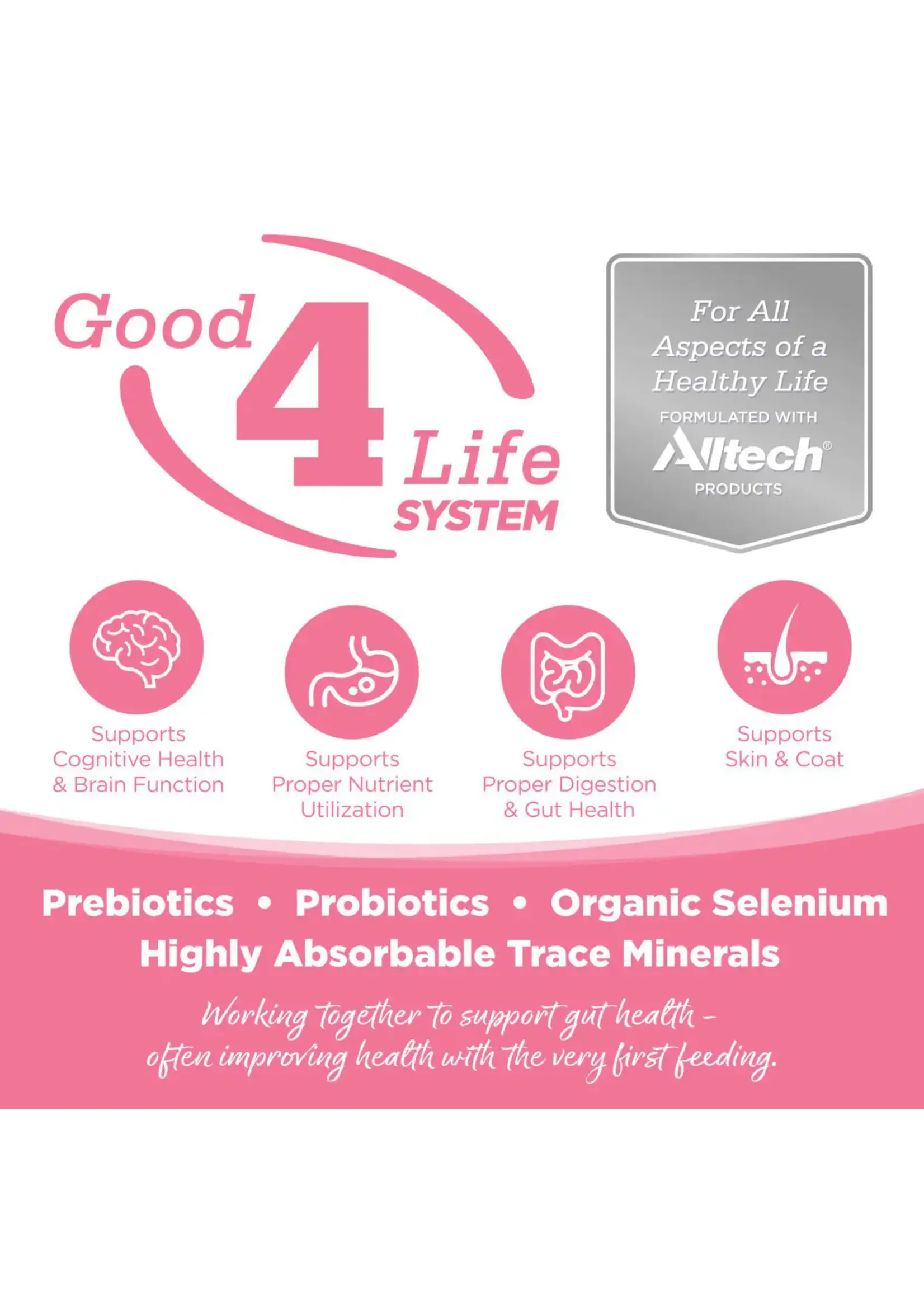 Pure Vita Dog GF Food Salmon & Pea 25 lb